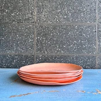 Ceramic Dinner Plate Set - Melon Design, Durable & Elegant for Everyday Dining, Parties, and Home Decor