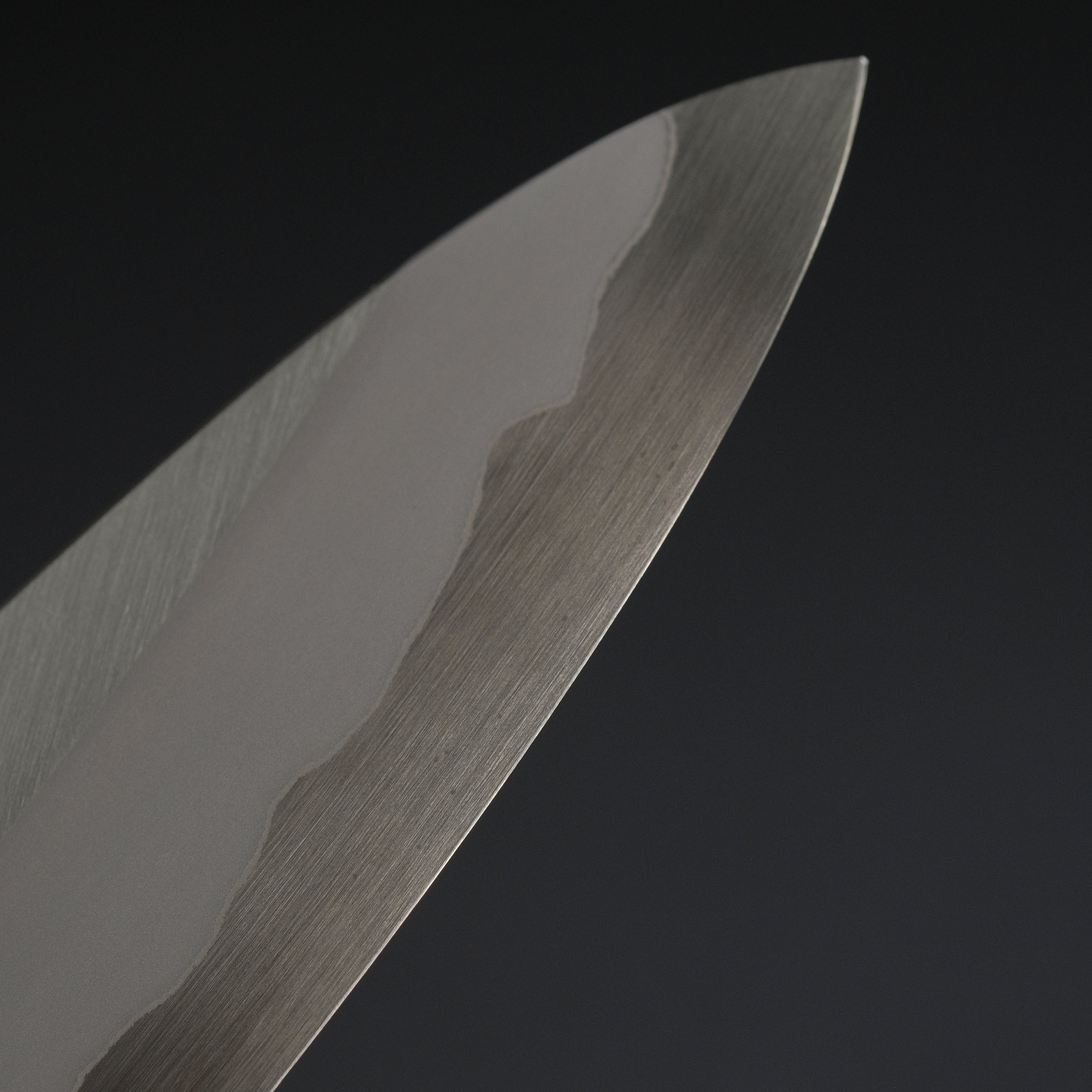 Hitohira Tanaka Kyuzo Blue #1 Stainless Clad Gyuto 210mm Japanese Chef Knife - Taihei Makassar Ebony Handle | Professional Kitchen Knife for Sushi, Meat Cutting & Food Preparation | Premium Discounted Chef's Knife