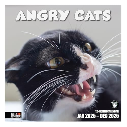 03 - Angry Cats