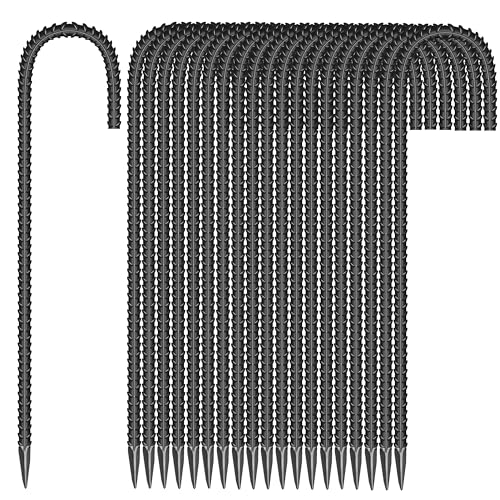 J-12'' 6mm 20pcs BK