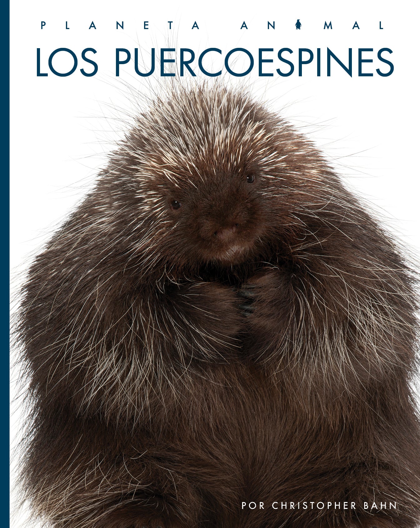 Porcupine Plush Toy - Soft & Cuddly Stuffed Animal for Kids, Perfect for Bedtime, Playtime & Gifts