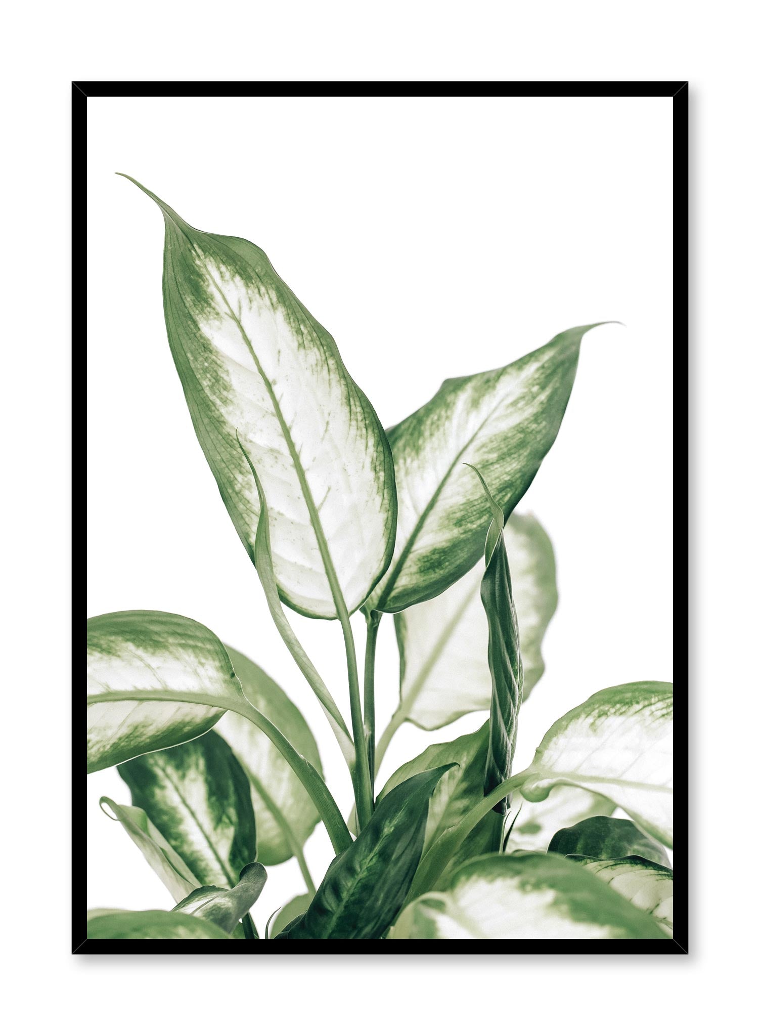 Leopard Lily Poster - Vibrant Floral Wall Art for Home & Office Decor | Perfect for Living Room, Bedroom, or Gift
