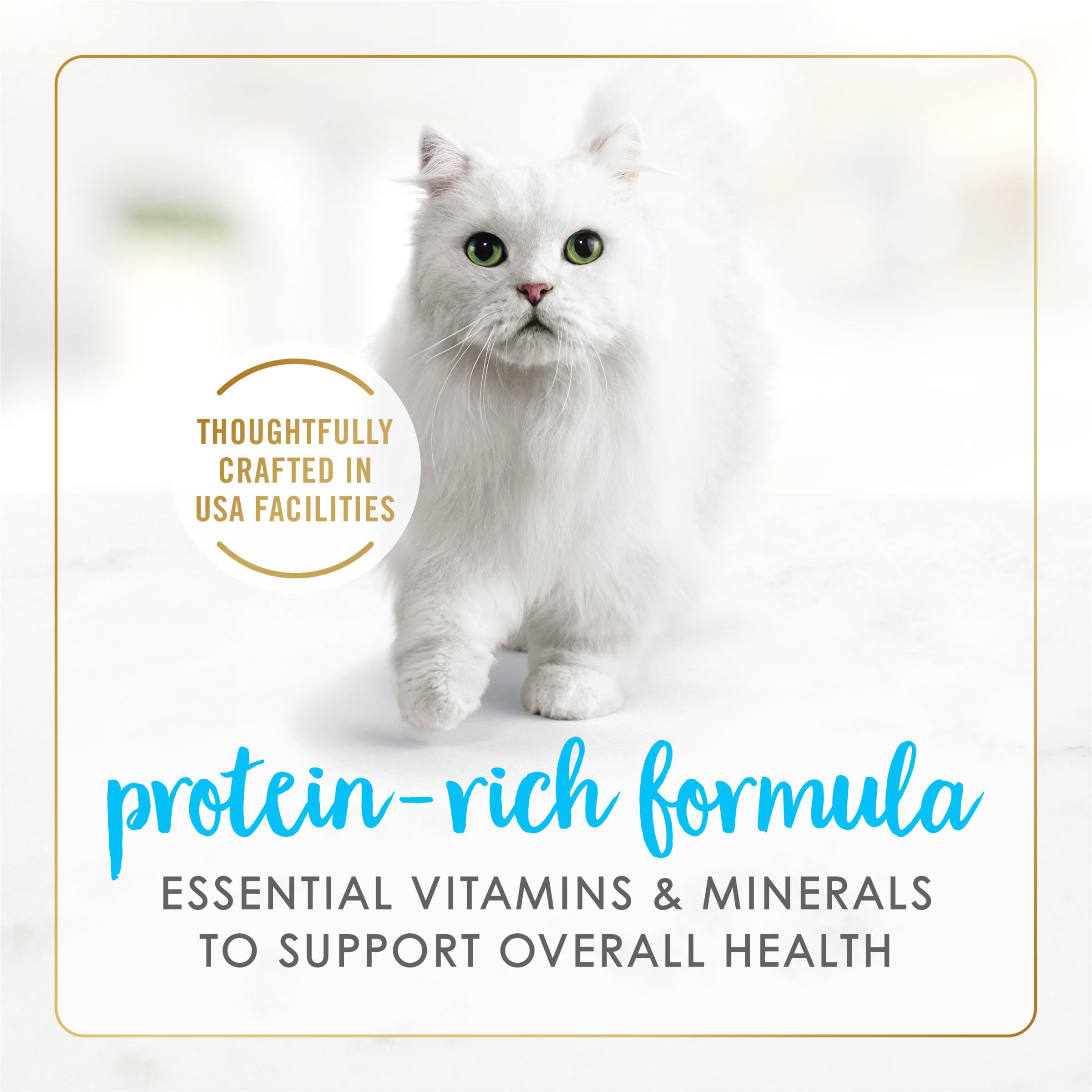 Purina Fancy Feast Wet Cat Food - Grilled Tuna with Cheddar Cheese in Gravy, 3 oz Cans (Pack of 24) | Premium Gourmet Meal for Adult Cats | Perfect for Picky Eaters & Special Occasions