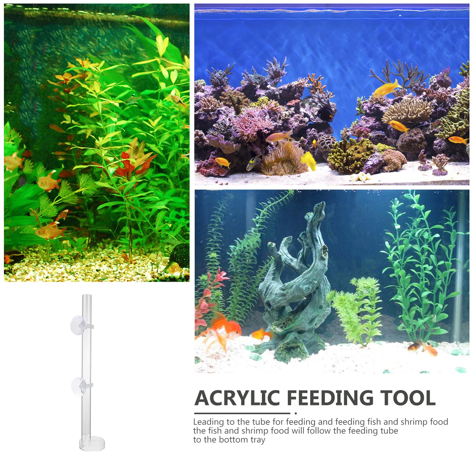 Balacoo Acrylic Shrimp Feeder Tray for Aquarium - Auto Fish Feeder Accessory