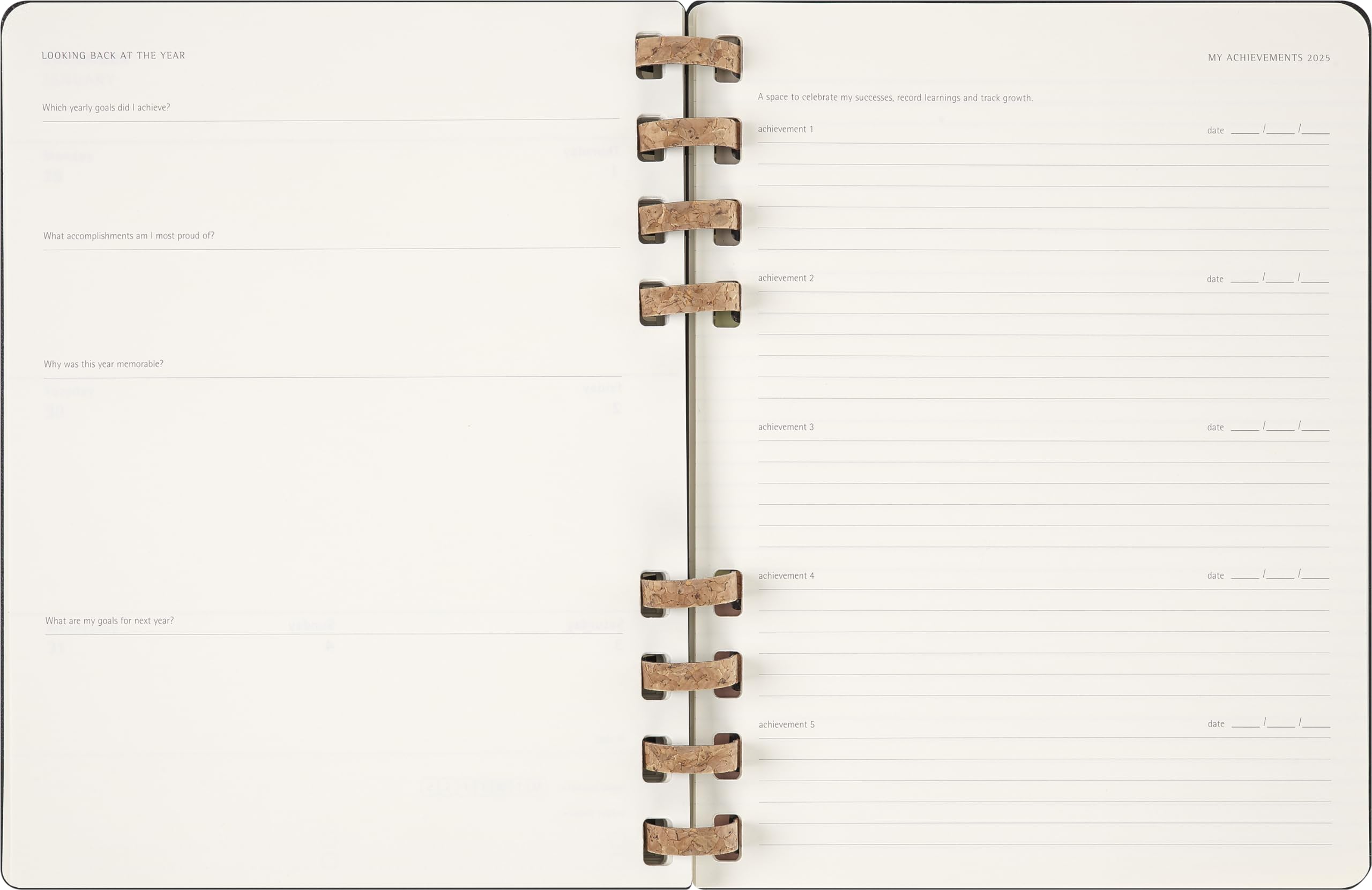 Moleskine 2025 Weekly & Monthly Planner - 12 Month Spiral Notebook with Hard Cover & Elastic Closure - Extra Large 20.4x25.2 cm Black - Perfect for Business, School & Personal Organization