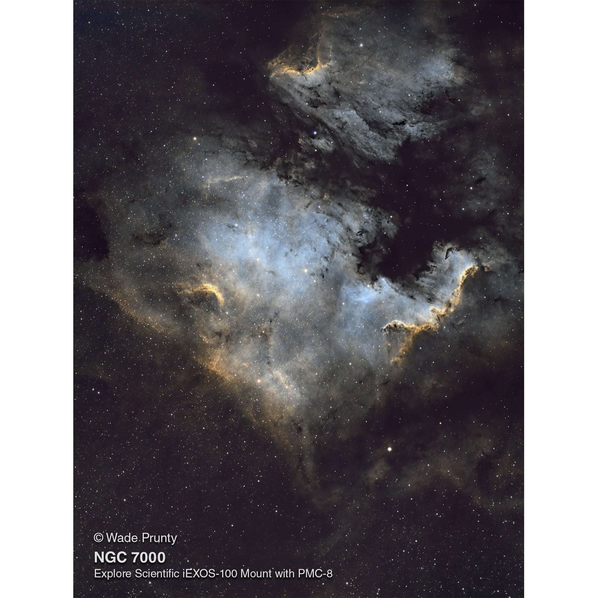 Explore FirstLight 130mm Newtonian Telescope with iEXOS 100 PMC-Eight Equatorial Mount - Perfect for Stargazing, Astrophotography & Backyard Astronomy
