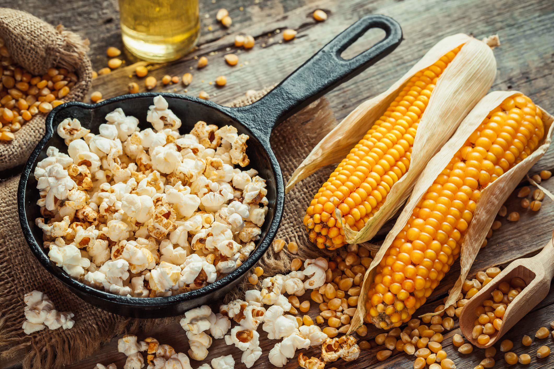 Premium Butter Flavored Popcorn Seasoning - Large Shaker | Calorie Free, Fat Free, Low Sugar | Gourmet Popcorn Topping for Movie Nights, Parties & Snack Time | Small Batch Crafted | Cholesterol & Saturated Fat Free