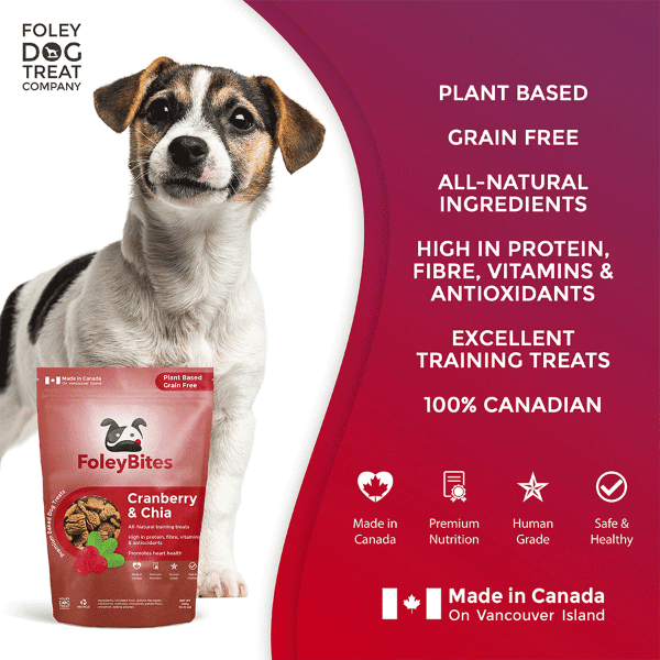 Premium Baked Dog Treats with Cranberry & Chia - Foley Bites - Healthy Snacks for Dogs - Perfect for Training, Rewards & Dental Health
