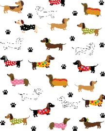 Dachshund Dog
