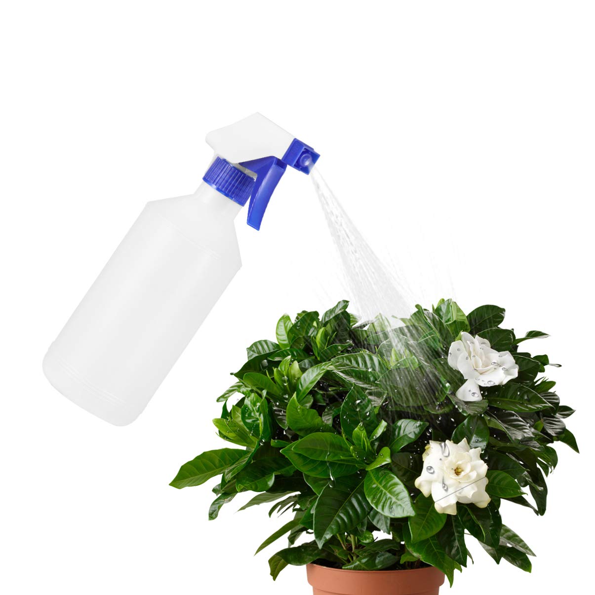 Hemobllo 12-Piece Glass Spray Bottles Set - Refillable Water Mister for Plants, Hair, Terrariums & Cleaning | Perfect for Gardening, Salon, Home & DIY Projects