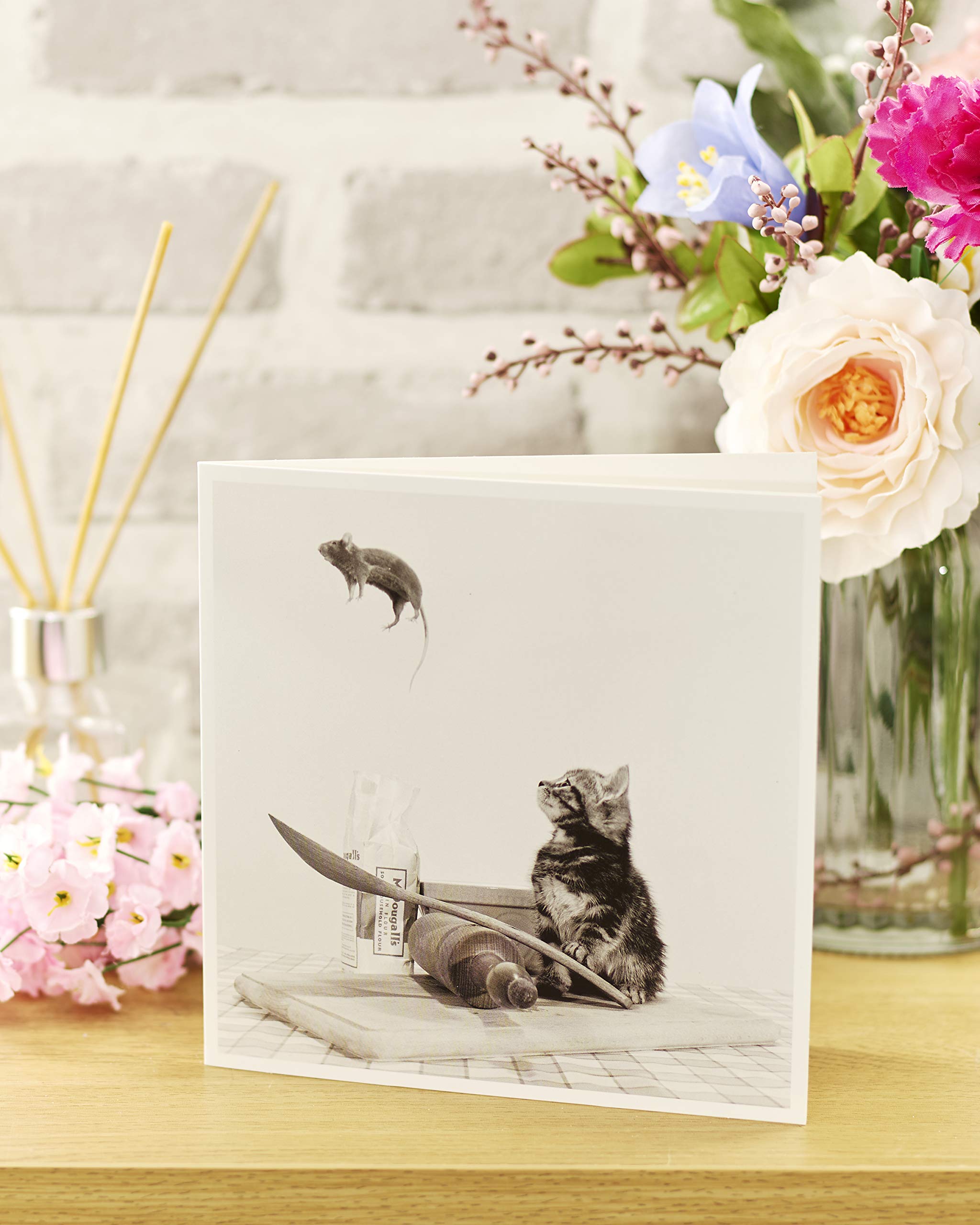 Funny Cat and Mouse Birthday Card - Blank Inside Greeting Card for Any Occasion - Humorous Kitten Themed Card - Perfect for Birthdays, Anniversaries & Special Events