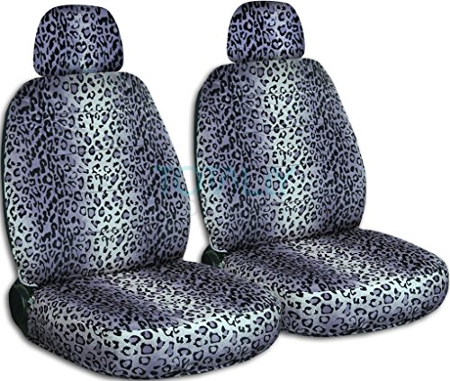 Gray Leopard