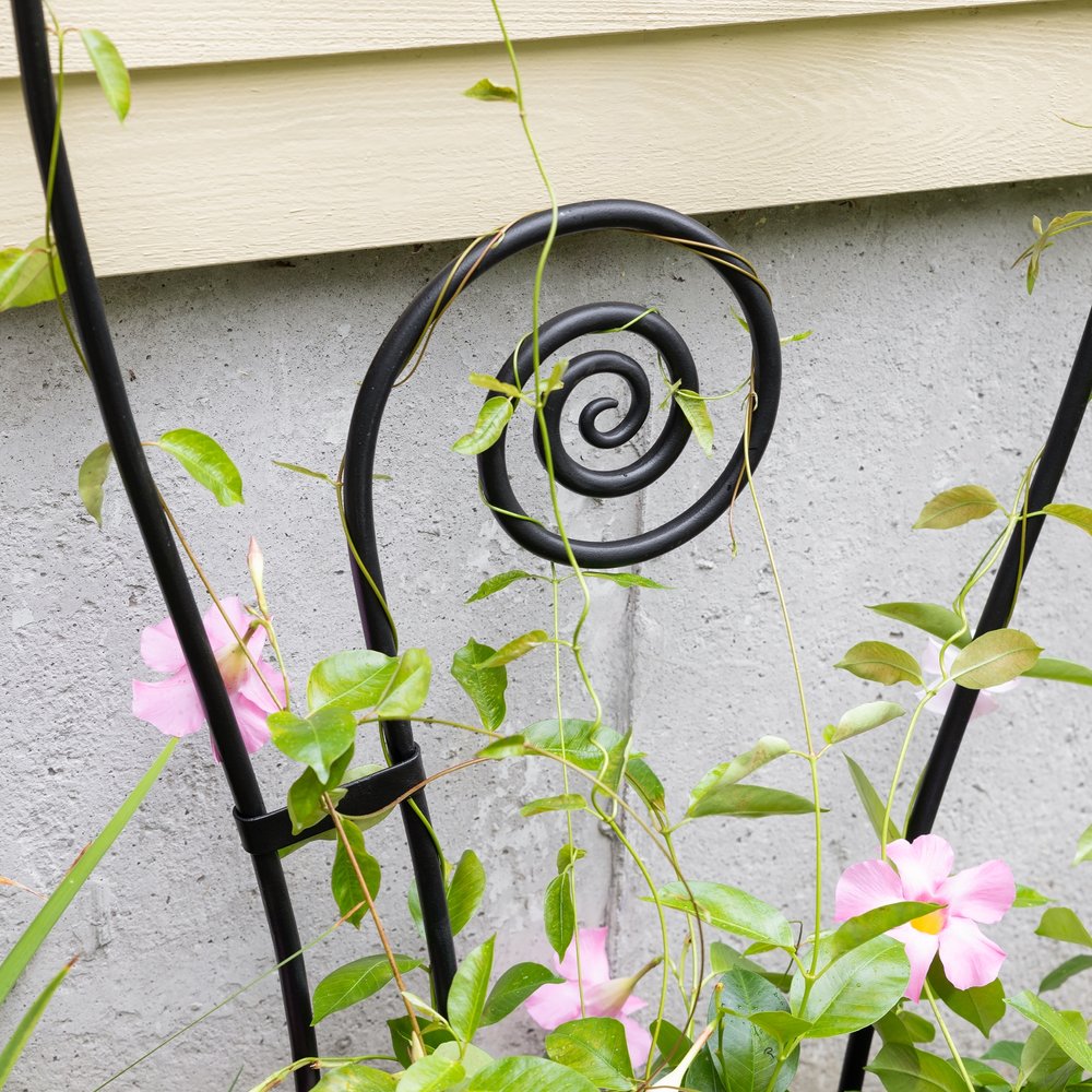 Luna Trellis by Achla Design - Elegant Garden Trellis for Climbing Plants, Flowers & Vines | Perfect for Outdoor Gardens, Patios & Backyard Decor