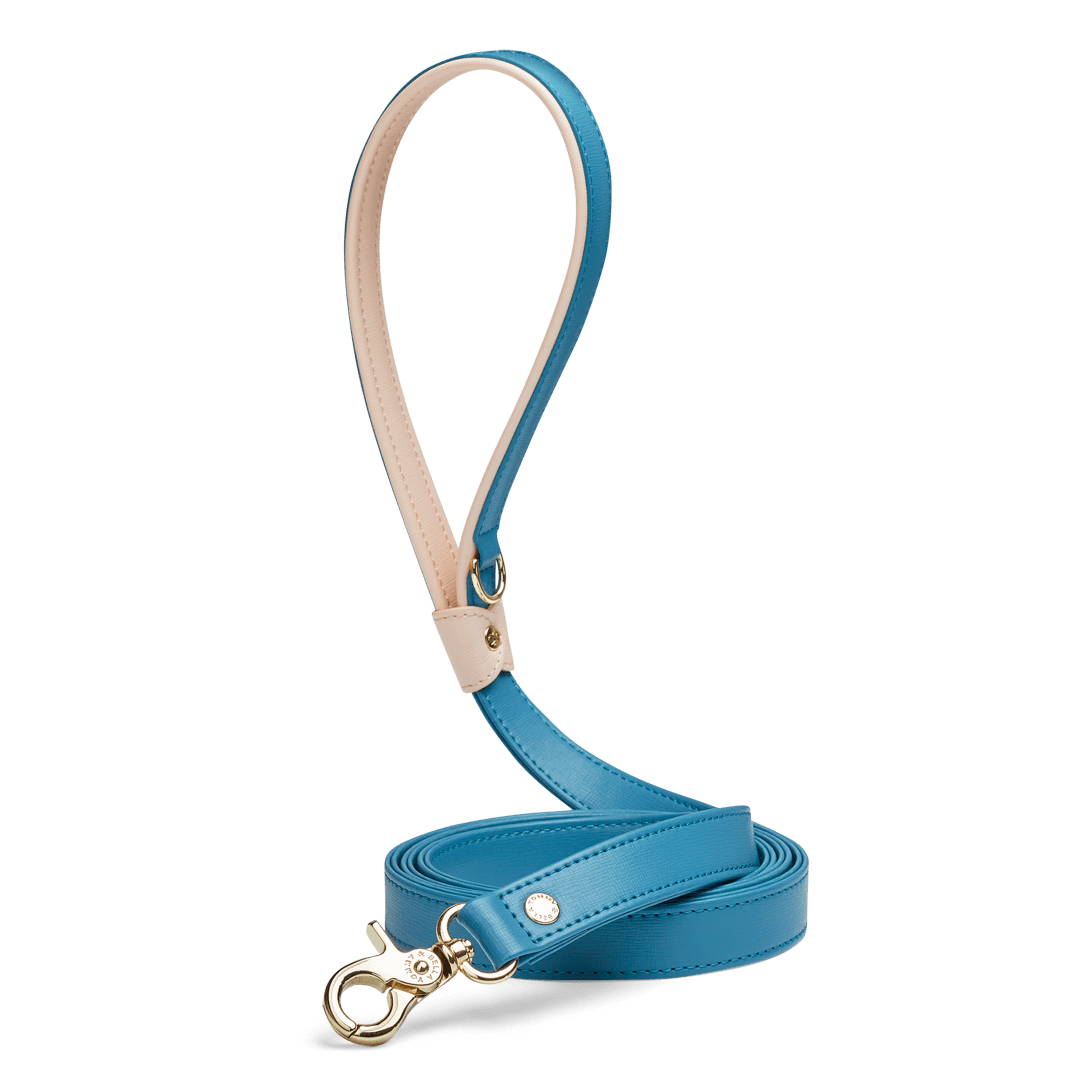 Premium Teal & Light Pink Dog Leash - Durable Reflective Nylon Pet Walking Lead for Small Medium Large Dogs - Perfect for Daytime & Nighttime Walks, Jogging, Training, and Outdoor Adventures