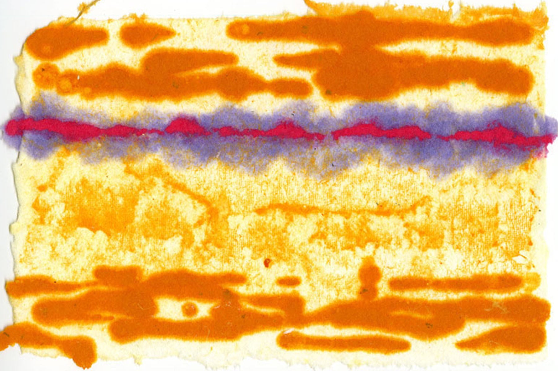 Lisa M. Hamilton: Erupting Horizon - Contemporary Art Book for Collectors & Decor | Perfect for Home, Office & Gallery Displays