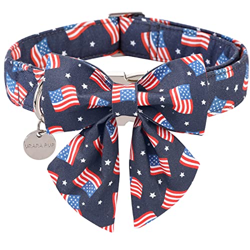 Patriotic Flag