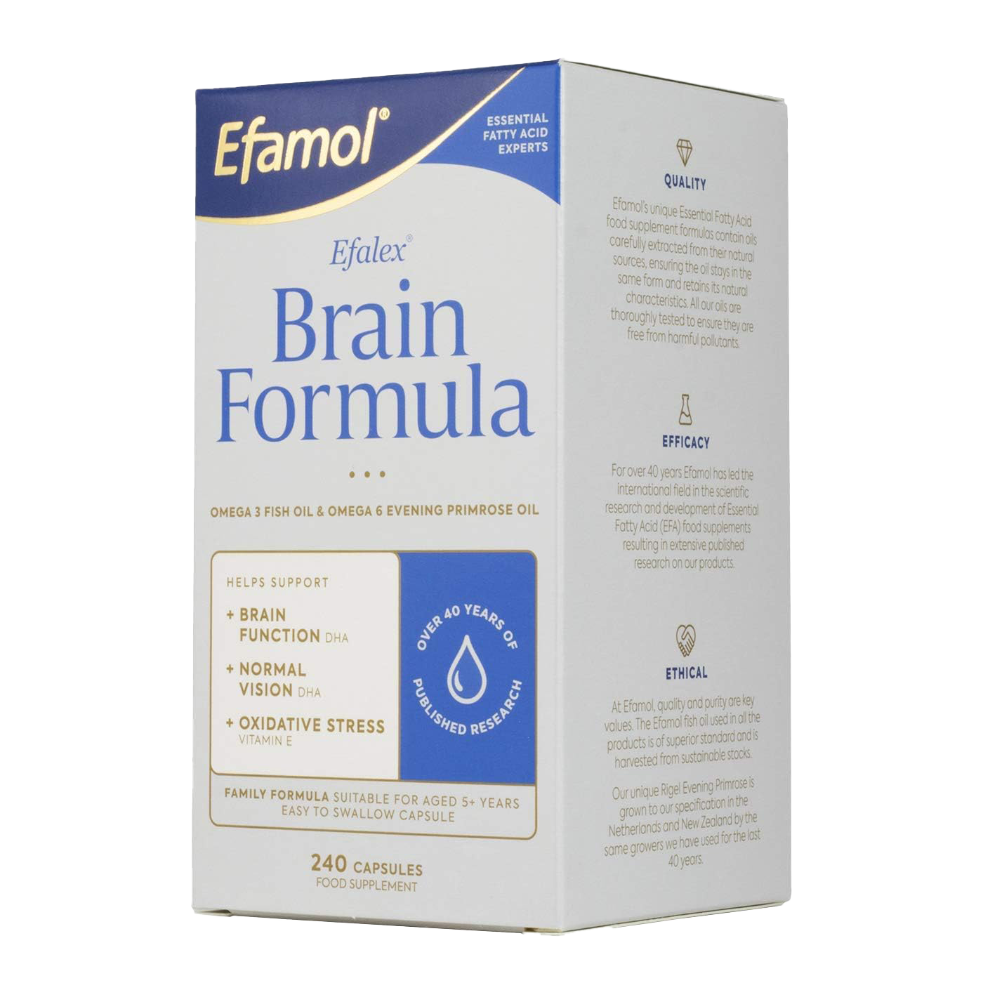 Efamol Brain Efalex Brain Formula - 240 Capsules for Memory & Focus Support | Omega-3 & DHA Supplement for Adults & Students | Study Aid & Cognitive Enhancement