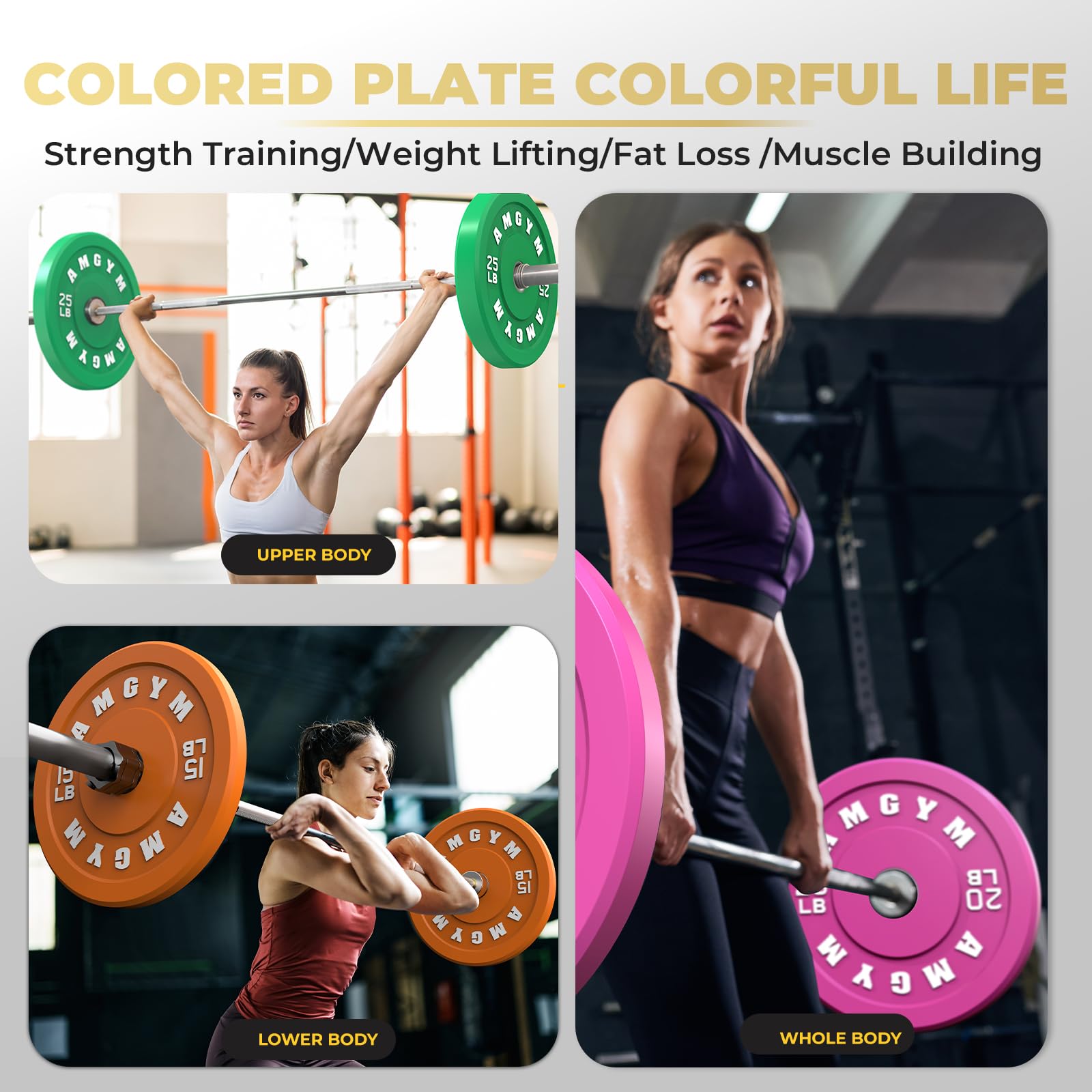 Olympic Rubber Bumper Plates Set - 2 Inch Steel Insert Weight Plates for CrossFit, Powerlifting & Strength Training - Durable Colored Bumper Weights for Home & Commercial Gym Use (Single/Pair Options)