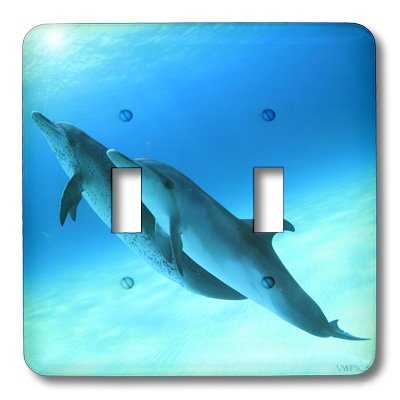 3D Rose Bahamas Atlantic Spotted Dolphins Toggle Switch - Decorative Wall Plate for Home, Office, or Boat Accessories