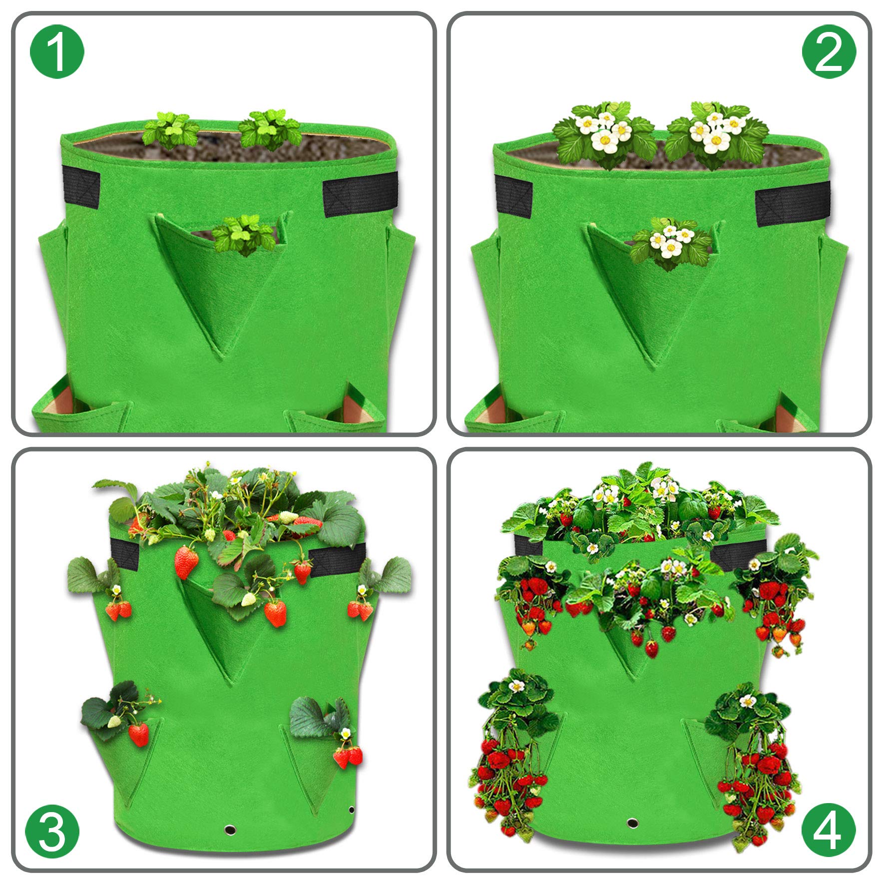 11 Gallon Nonwoven Fabric Grow Bags - Breathable Plant Pots for Strawberries, Tomatoes, Potatoes & Vegetables (2 Pack) | Ideal for Indoor/Outdoor Gardening, Raised Beds & Container Planting