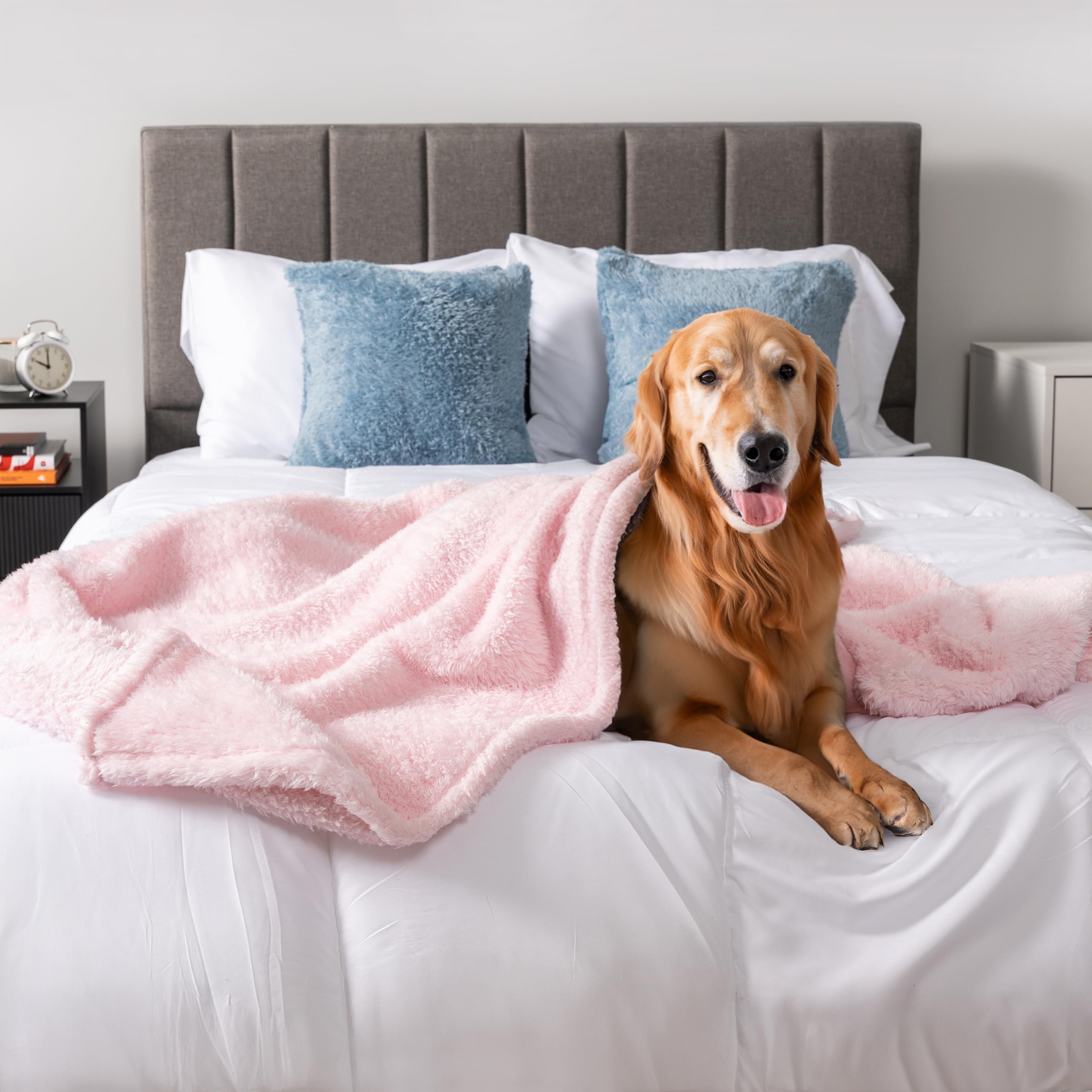 PetAmi Extra Large Dog Blanket 60x80 - Soft Fluffy Sherpa Fleece Pet Blanket for Large Dogs & Cats, Washable Calming Throw for Bed, Sofa & Couch Cover - Pink (Perfect for Winter Snuggles & Anxiety Relief)