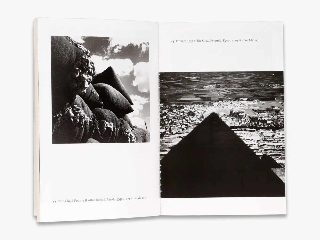 The Lives of Lee Miller - Biography of a Pioneering Female Photographer & War Correspondent | Perfect for History Buffs, Photography Enthusiasts & Feminist Readers