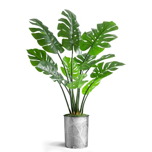 Modern Planter - 24013102