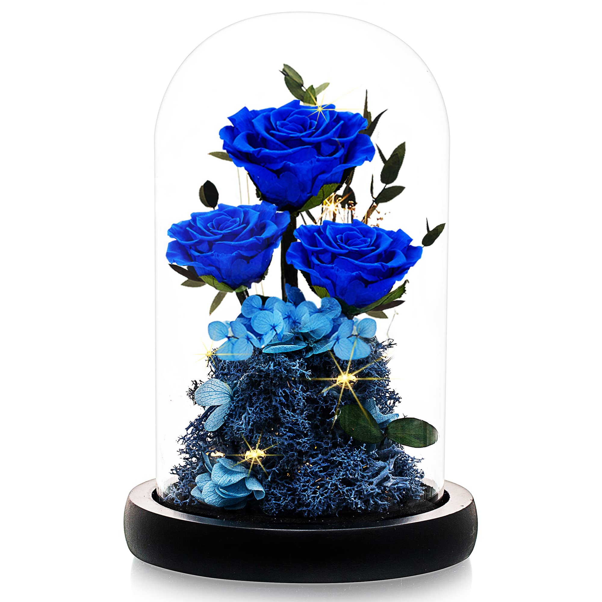 DENIMOMO Preserved Rose in Glass Dome - Eternal Real Rose Gift for Mother's Day, Wife, Grandma, Beauty and The Beast Inspired - Perfect for Anniversary, Birthday, Thanksgiving (Blue) | Home Decor, Romantic Gift, Special Occasion Present