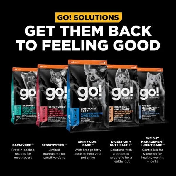 Go! Solutions Skin & Coat Care Chicken Recipe with Grains Dry Dog Food - Premium Nutrition for Healthy Skin & Shiny Coat - Perfect for Adult Dogs with Sensitive Skin or Allergies