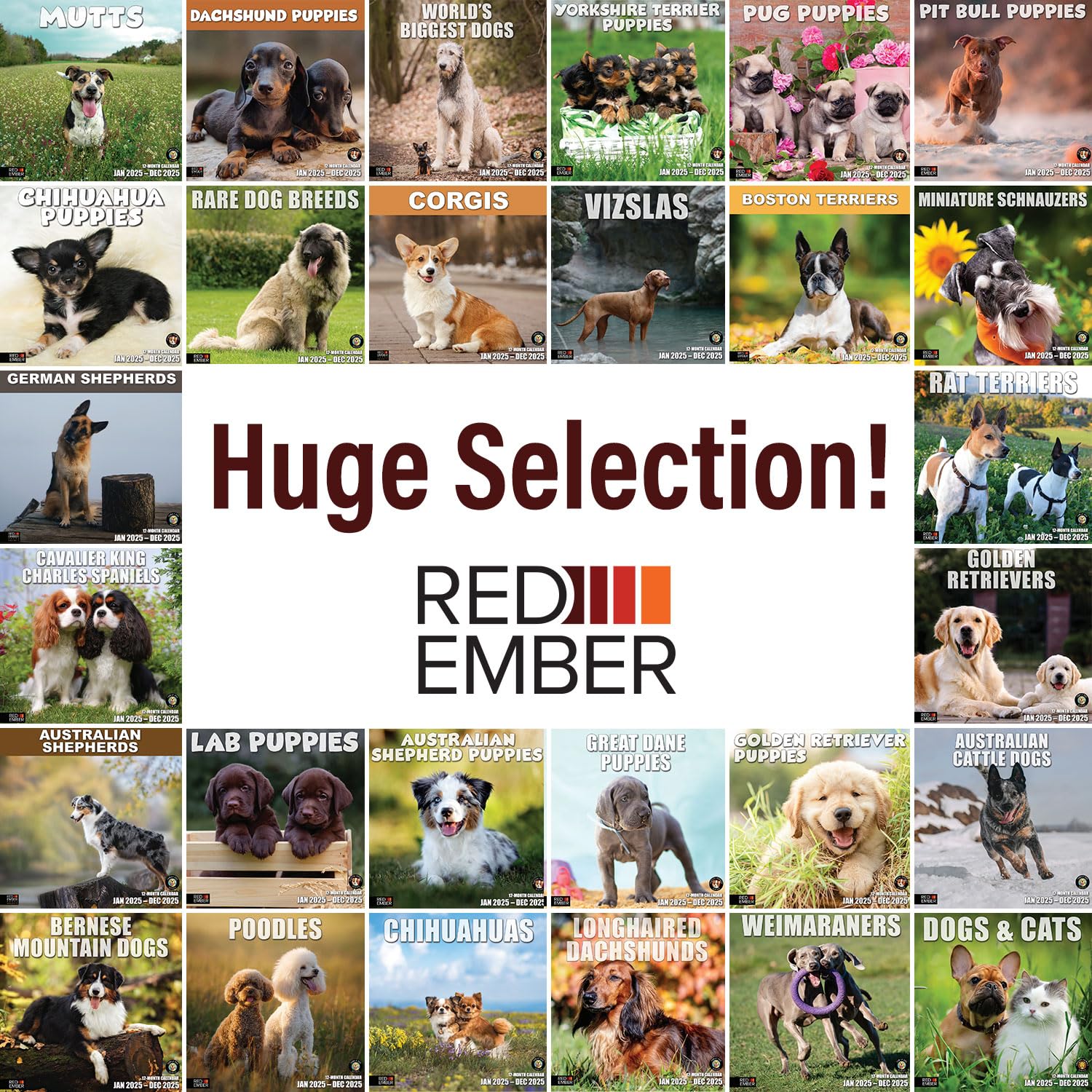 RED EMBER Pit Bull Puppies 2025 Wall Calendar - 12 Month Large Format (12x24 Inches) | Thick & Sturdy Paper | Perfect Gift for Dog Lovers | Home & Office Decor | Puppy Lover Wall Planner