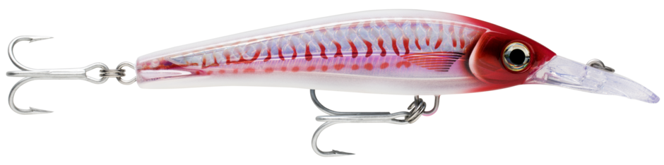 Rapala X Rap Magnum Xtreme 160 Fishing Lure - Premium Crankbait for Bass, Walleye & Pike - Perfect for Freshwater & Saltwater Fishing Adventures
