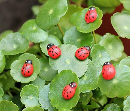 100 Pcs Wooden Ladybug Garden Stones - Cute Outdoor Decor for Vegetable & Flower Beds - Weather-Resistant Garden Ornaments for Yard, Pathway, and Patio Decoration