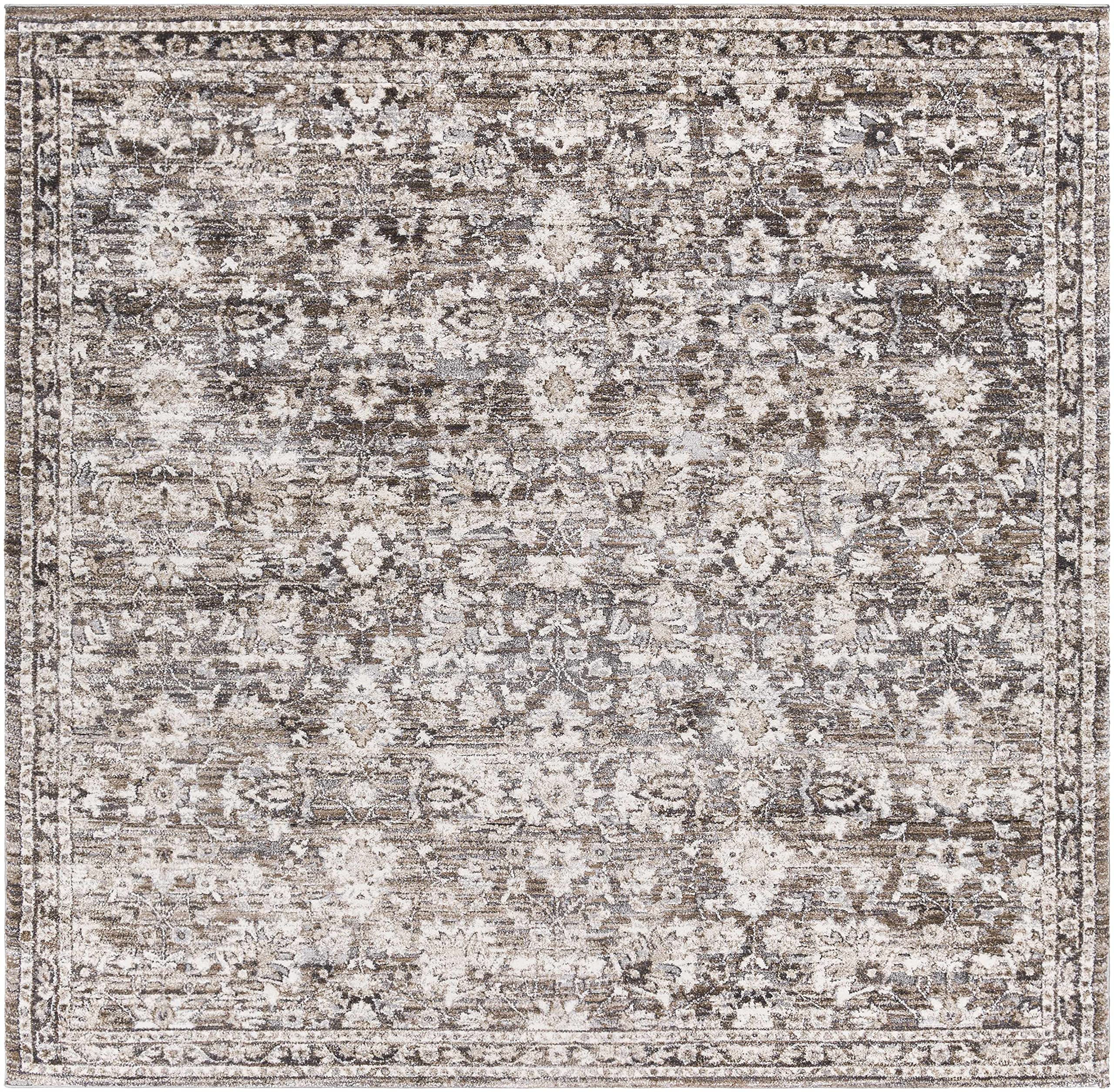 Hauteloom Talihina Soft High Pile Area Rug for Living Room & Bedroom - 2' x 3' - Gray, Beige, Brown - Plush & Cozy Home Decor for Relaxing Spaces