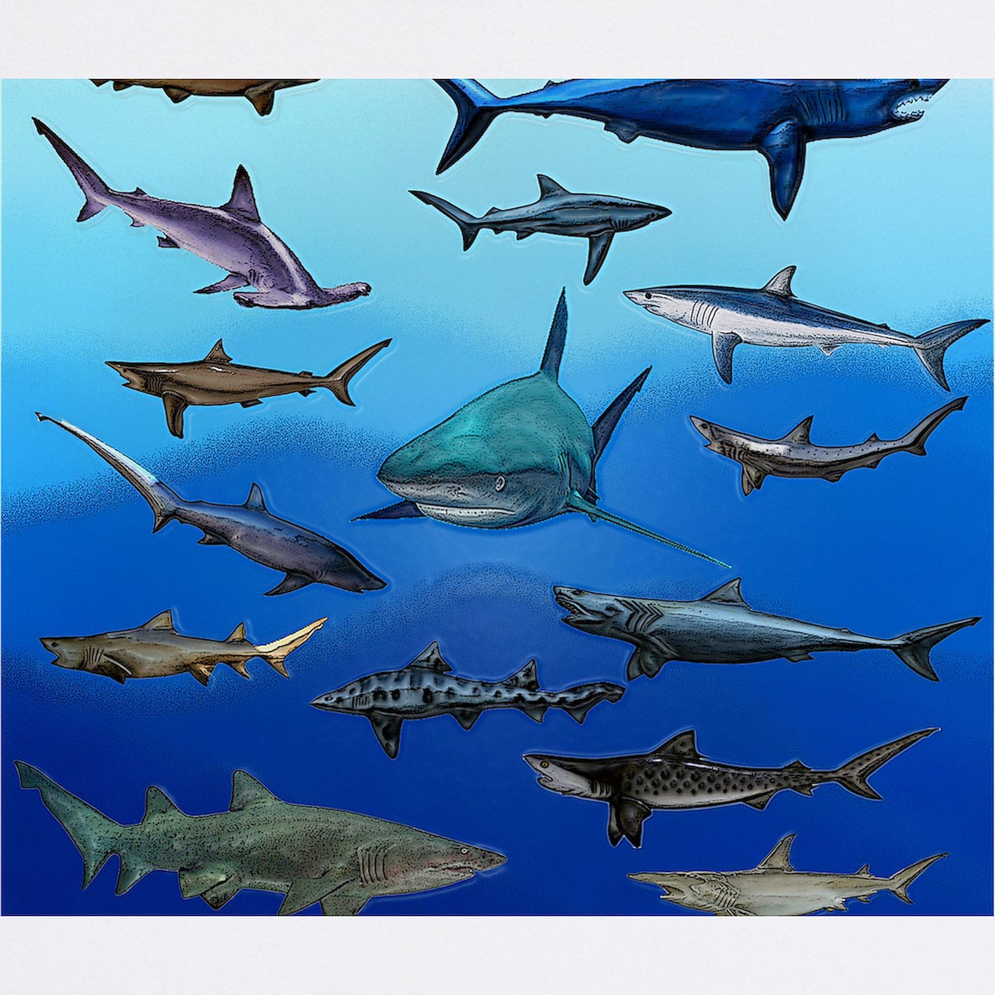 Non-Slip Rubber Gaming Mouse Pad - Shark Themed Computer Accessory for Office & Gaming | CafePress