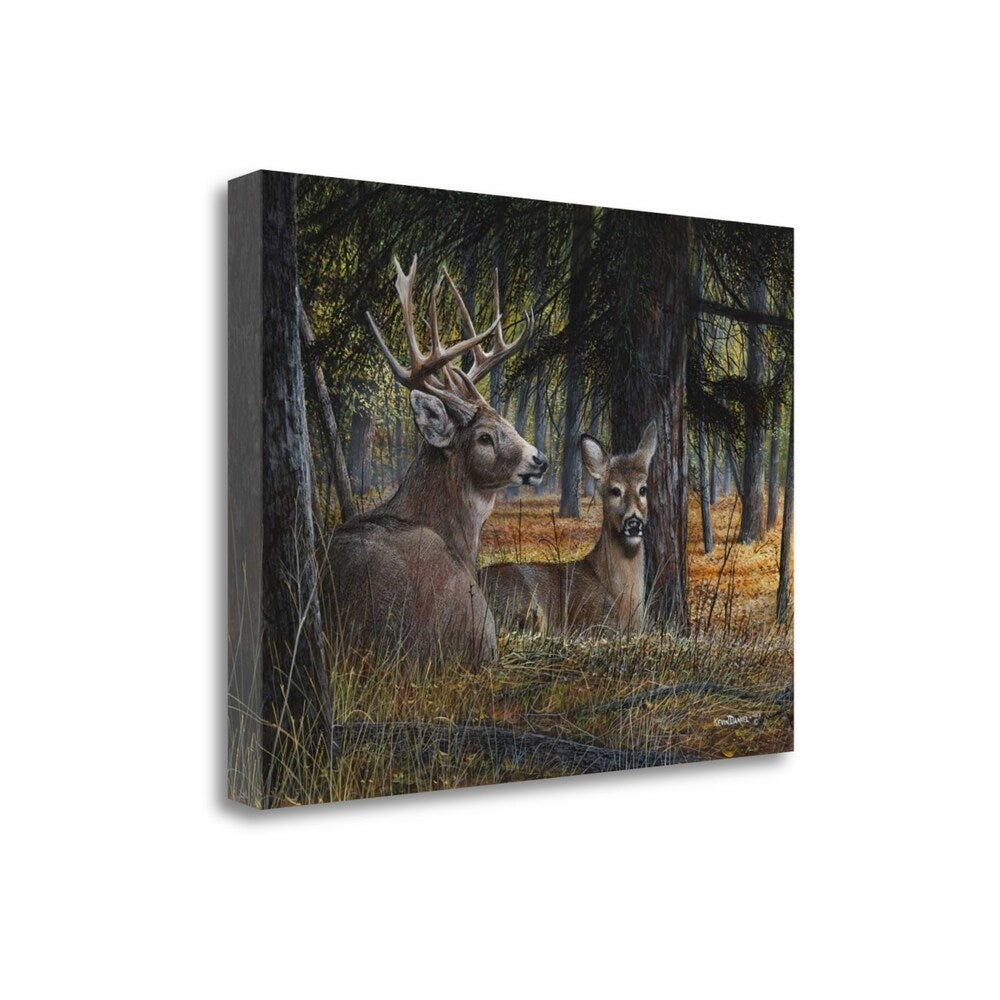 Autumn Royalty By Kevin Daniel - Premium Fine Art Giclee Print on Gallery Wrap Canvas, Ready to Hang Wall Decor - Perfect for Living Room, Bedroom & Office Art Display