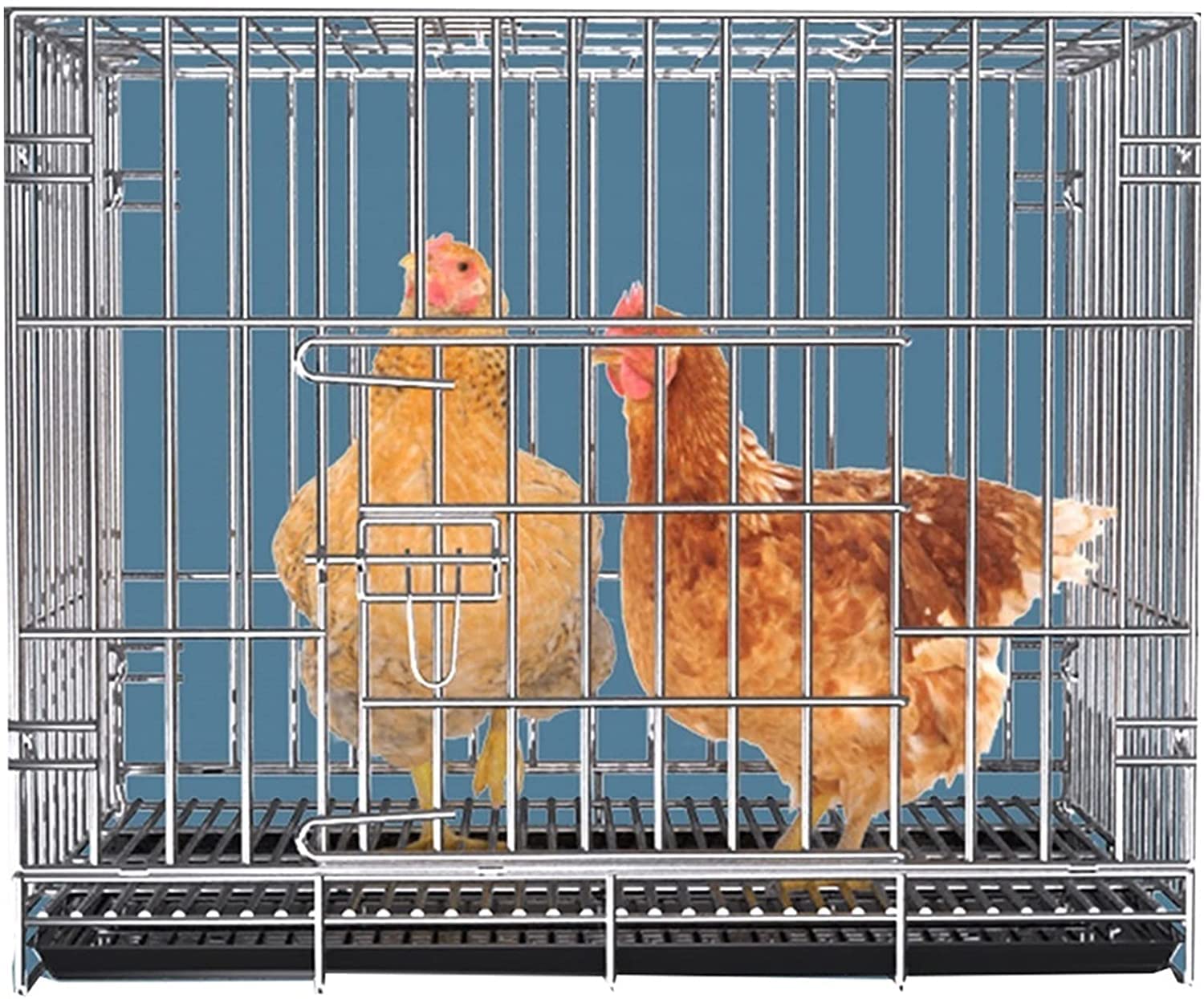 Premium Large Chicken Coop Villa - 39
