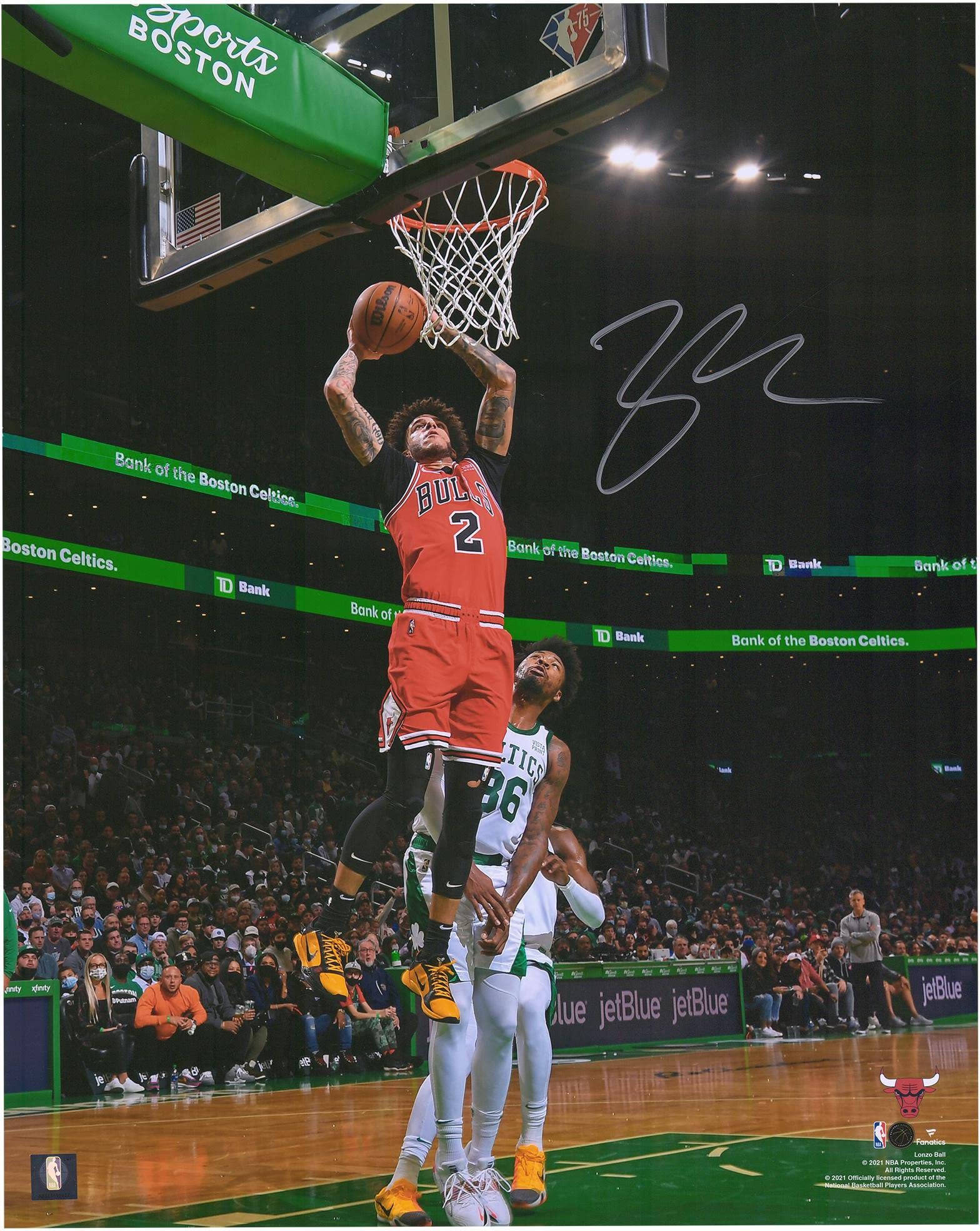Lonzo Ball Chicago Bulls Autographed 16x20 Inch Dunk vs Celtics Photo - Signed NBA Basketball Memorabilia for Sports Fans, Man Cave Decor, and Gift Ideas