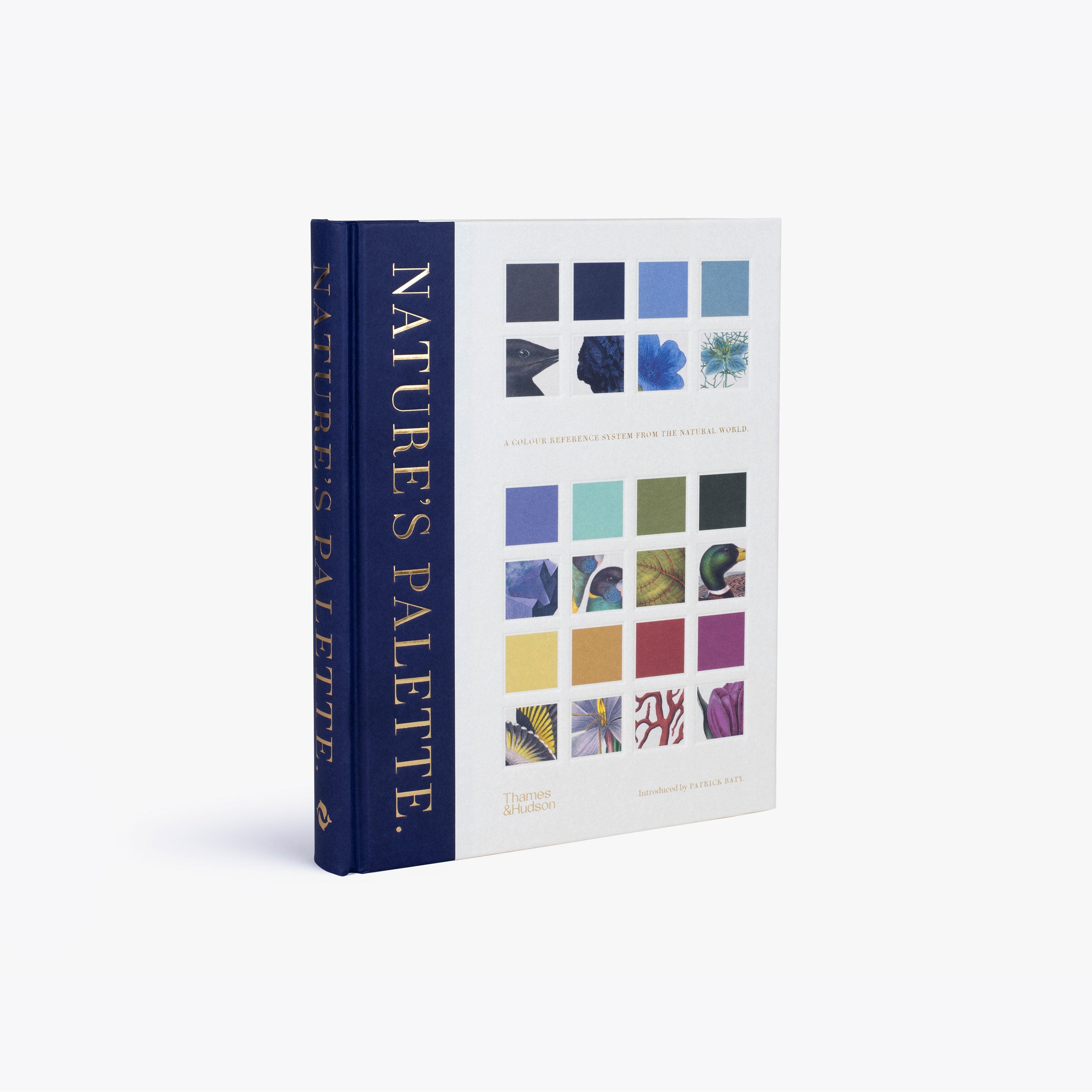 Nature's Palette - Premium Natural Dyes & Pigments for Eco-Friendly Crafting, DIY Projects & Textile Art - Perfect for Soap Making, Candle Coloring & Fabric Dyeing