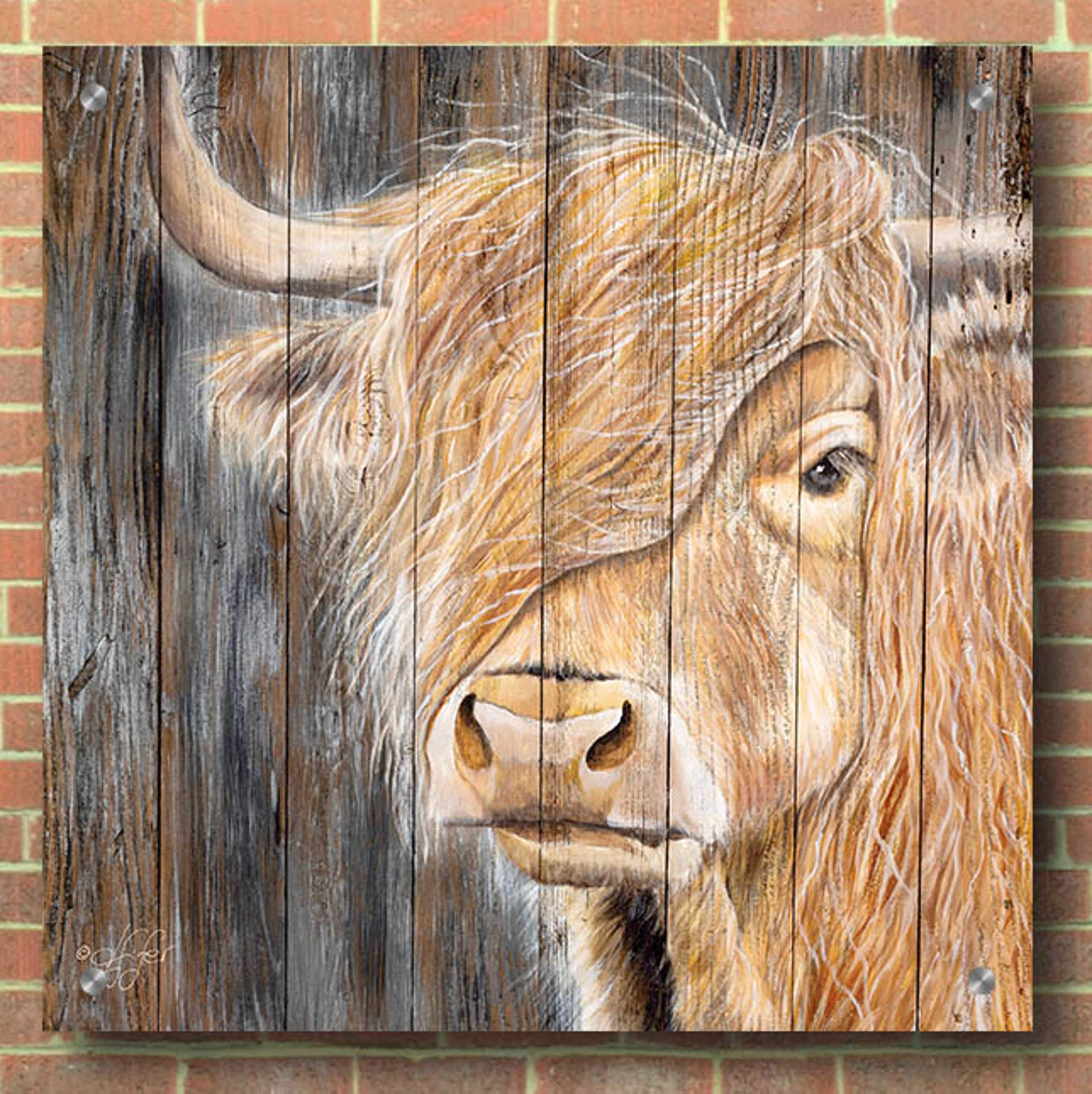 Epic Art 'A Windy Day on the Farm' by Diane Fifer - 36x36 Inch Acrylic Glass Wall Decor - Modern Farmhouse Painting for Living Room, Bedroom & Office