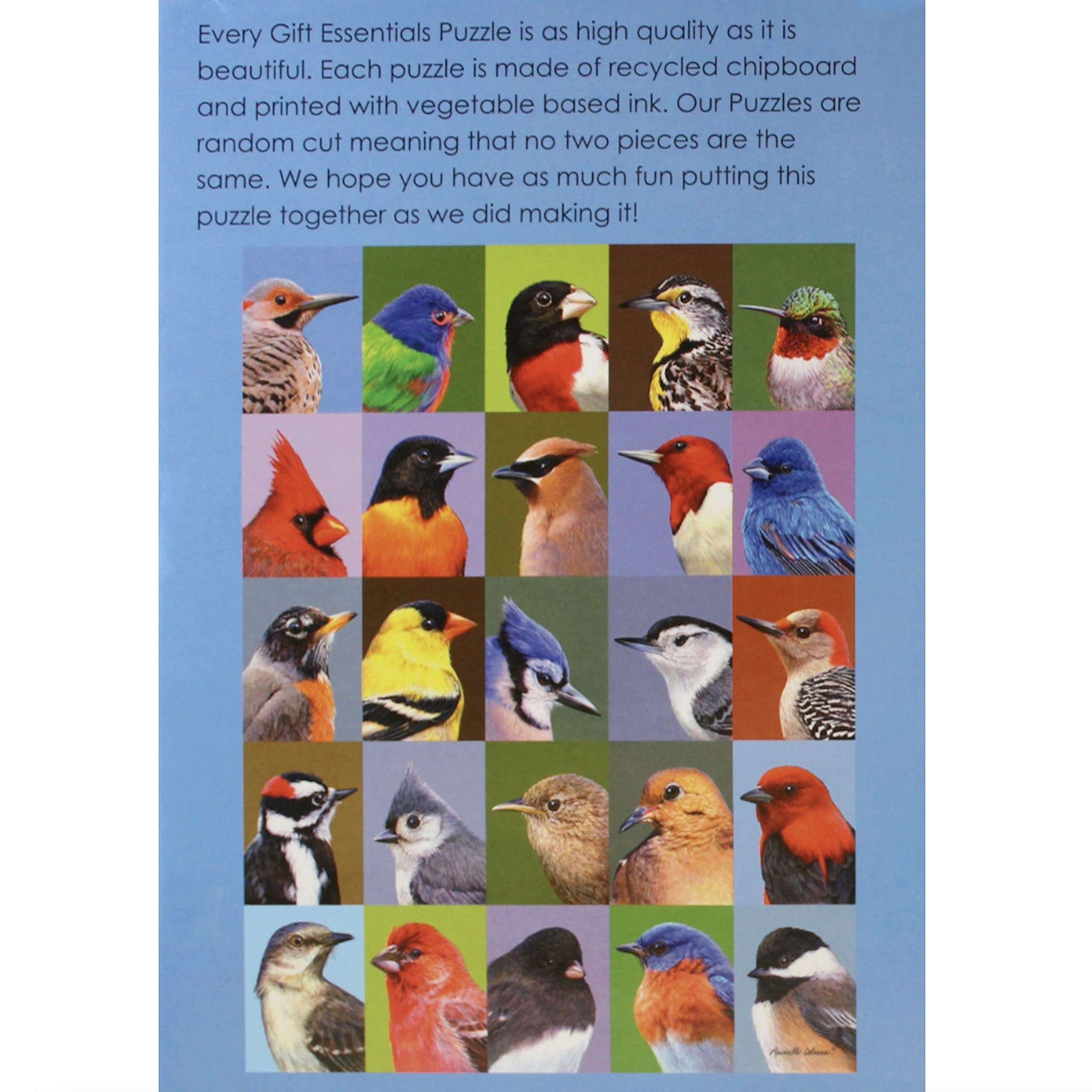 1000 Piece Jigsaw Puzzle - Backyard Bird Friends Collage - Challenging Puzzle for Adults & Kids - Perfect for Family Game Night & Educational Activity