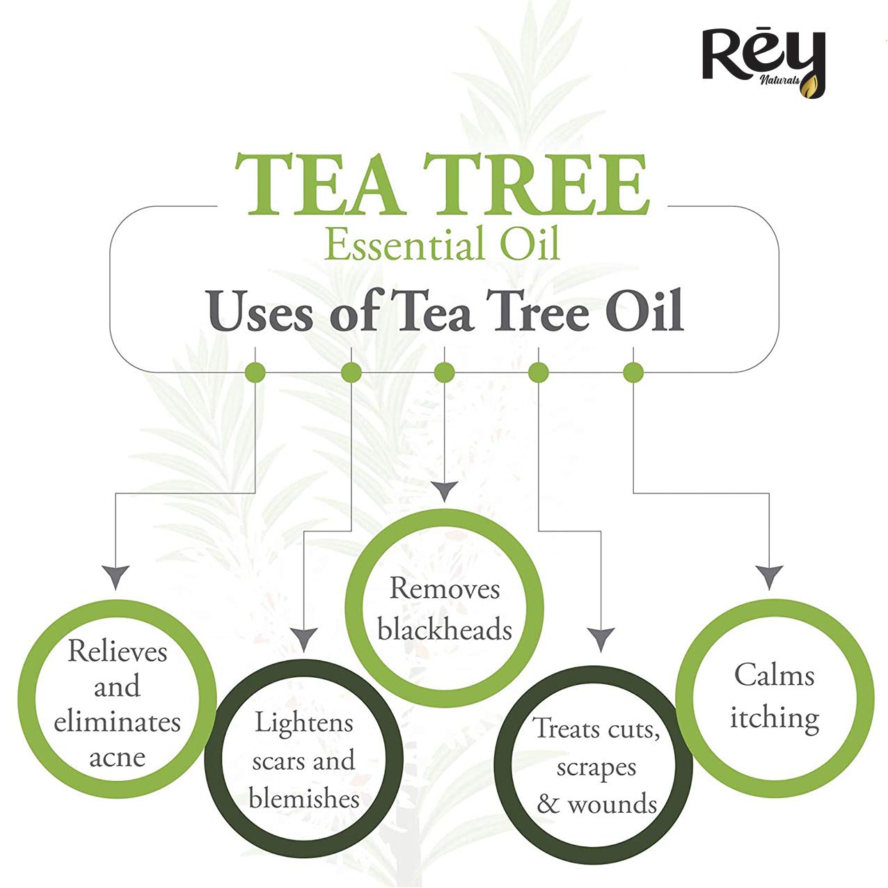 Rey Naturals 100% Pure Tea Tree Essential Oil for Hair Growth, Scalp Care, Acne Treatment & Aromatherapy | Natural Remedy for Dandruff, Stress Relief & Skin Care | Perfect for Diffusers, Massage & DIY Beauty - 15ml Bottle