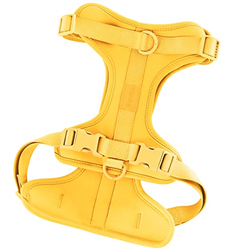 Butter Yellow