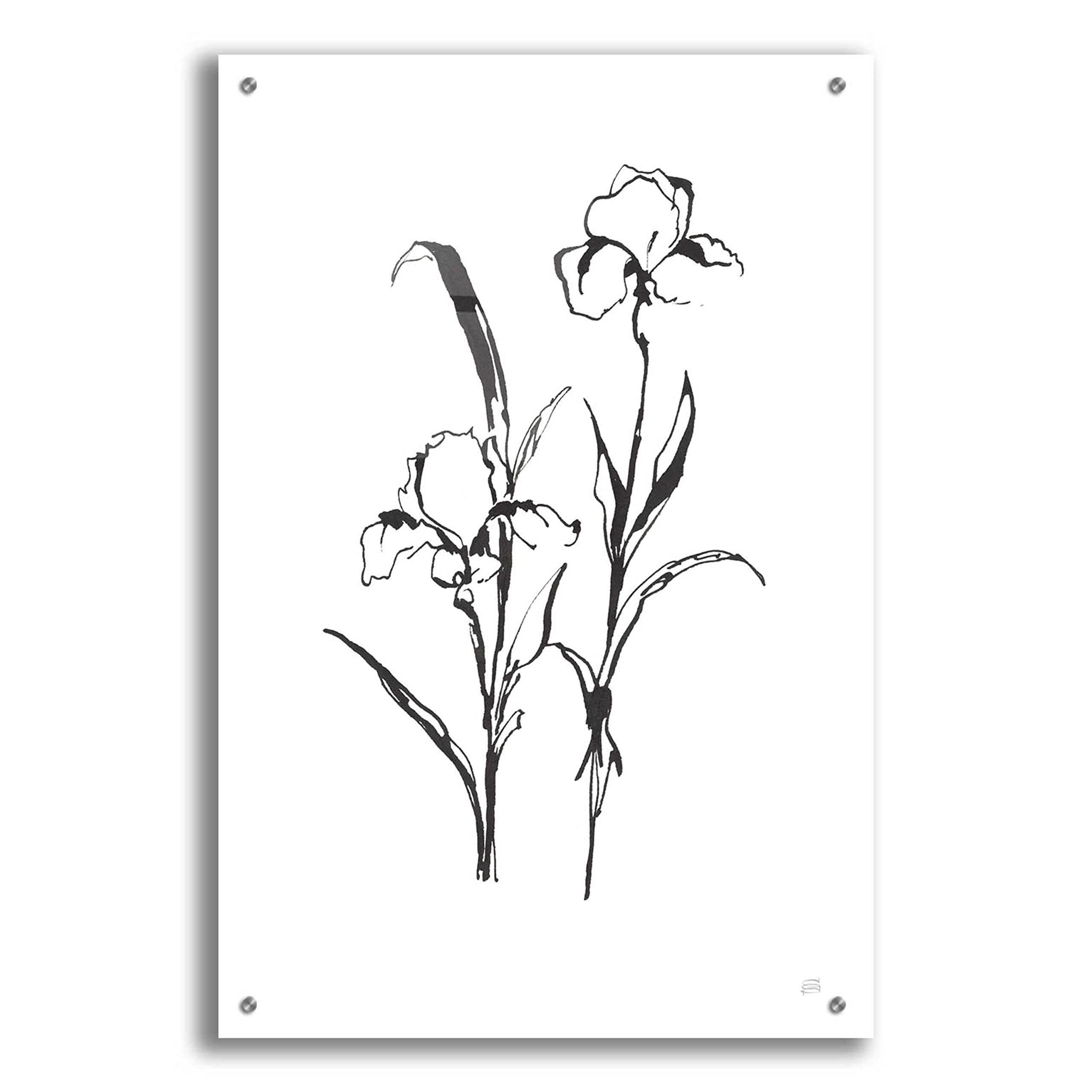 Line Iris I by Chris Paschke - Modern Abstract Acrylic Glass Wall Art 24x36 Inches - Perfect for Living Room, Bedroom or Office Decor