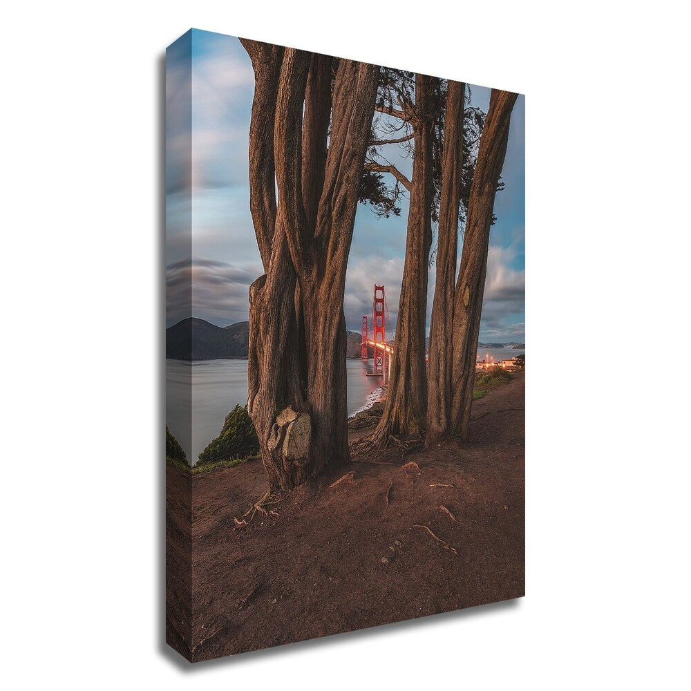 Between the Trees by Bruce Getty - Premium Canvas Wall Art Print - Ready to Hang - Perfect for Living Room, Bedroom & Office Decor