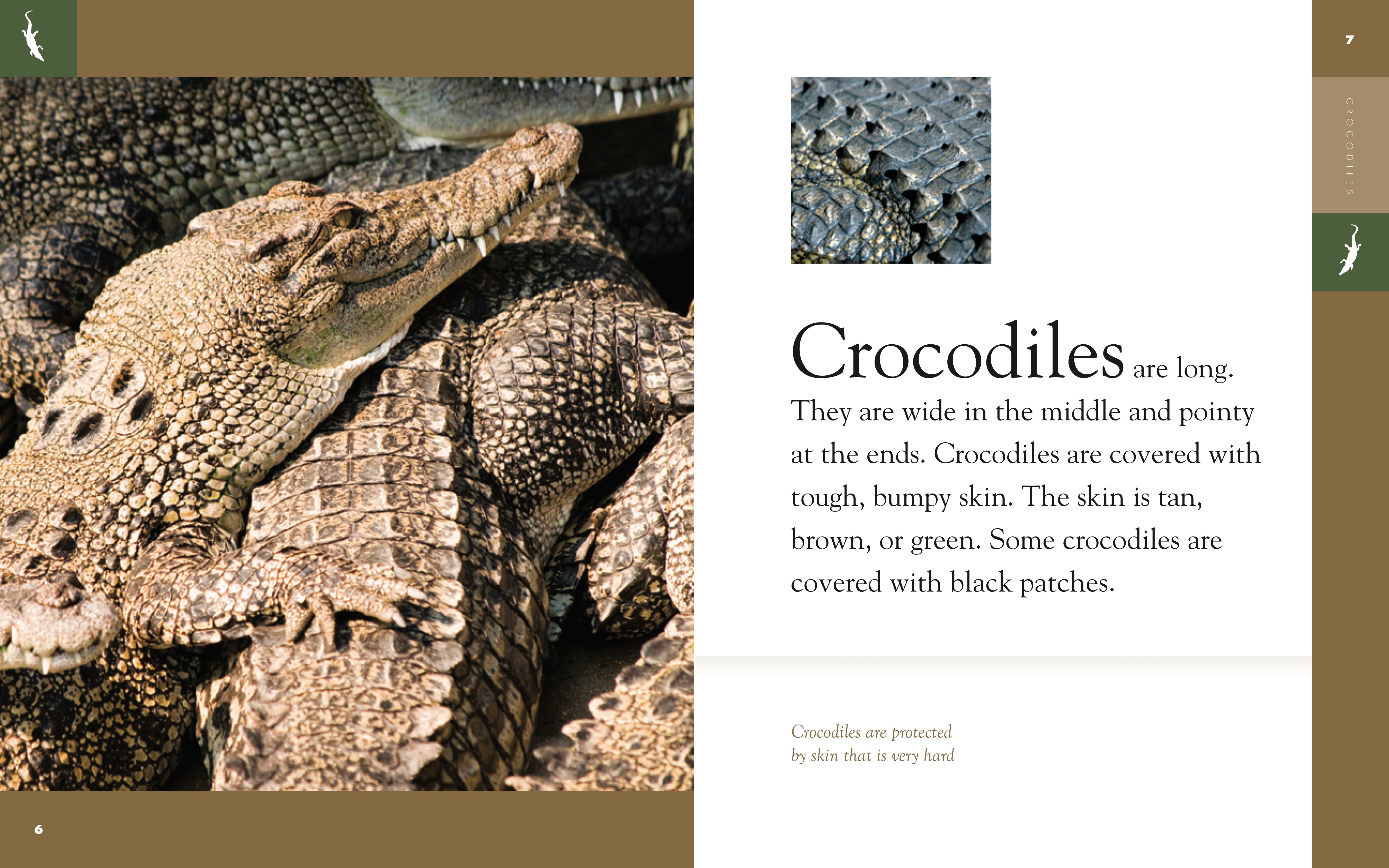 Amazing Animals (2014): Crocodiles - Wildlife Documentary Film for Nature Lovers | Perfect for Home Education & Classroom Learning