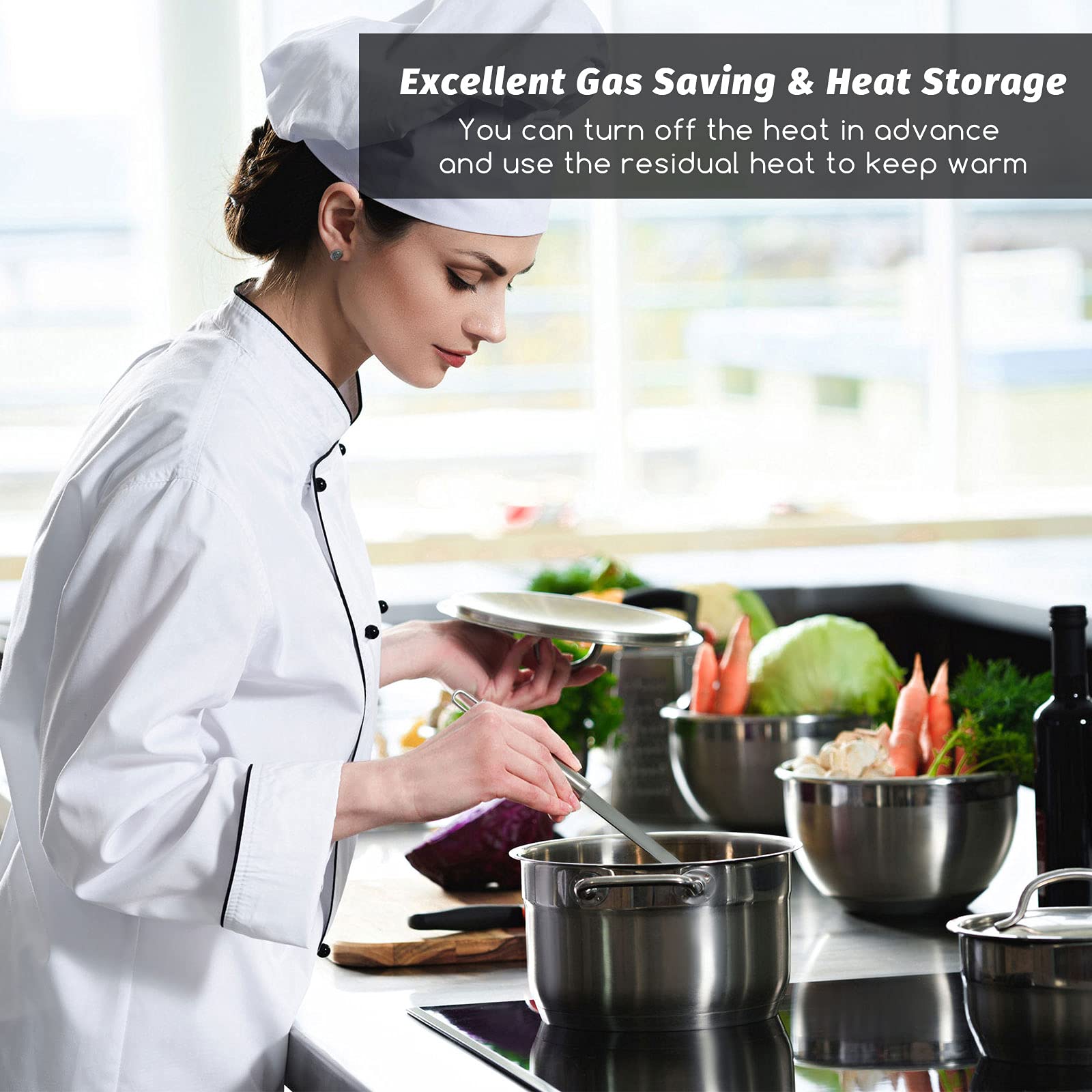 Geiserailie 2-Pack Stainless Steel Heat Diffuser Plates (9.3