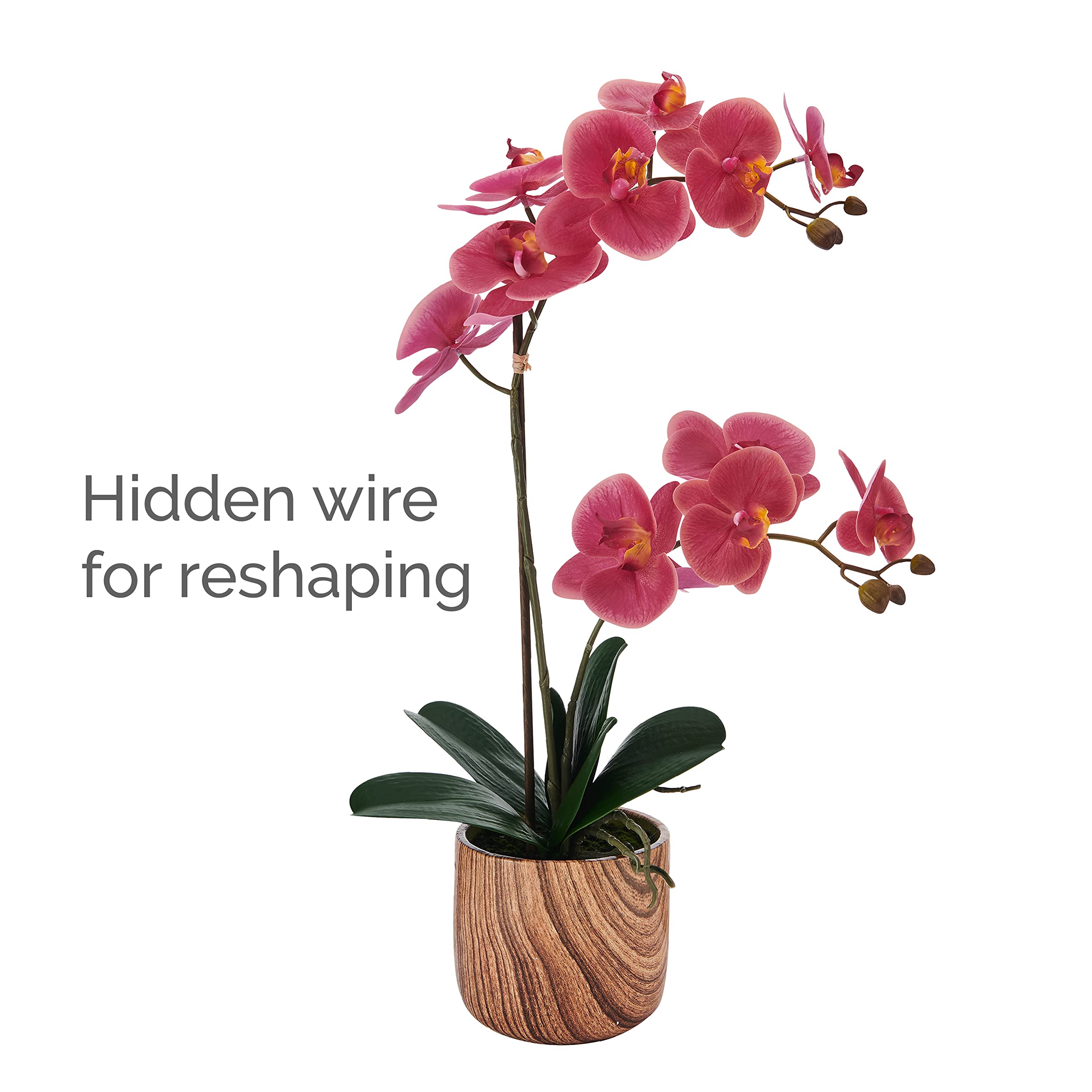 Mikasa Artificial Orchid in Pot - Real Touch Phalaenopsis Silk Flower with Faux Wood Cement Planter, 22-Inch Double Stem Rosewood Home Decor for Living Room, Office, Wedding Centerpiece