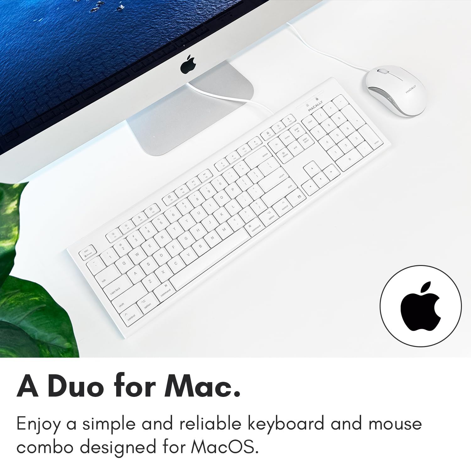Macally Full Size USB Wired Keyboard and Mouse Combo for Mac - Ergonomic Design with Mac Shortcuts & Number Pad | Compatible with Mac Mini Pro, iMac, MacBook Pro/Air | Perfect for Office Work, Graphic Design & Home Computing