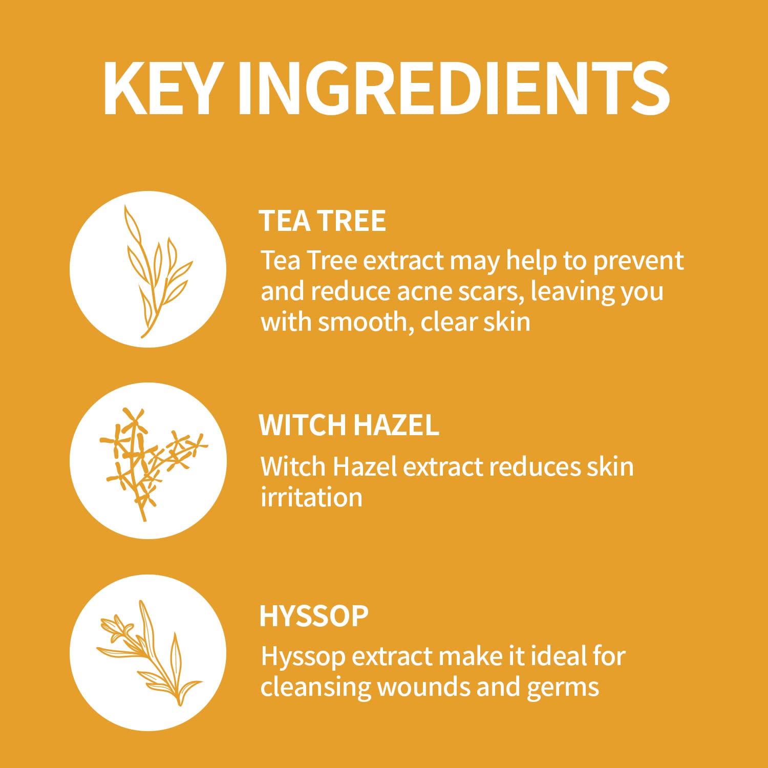 THE SKIN HOUSE Dr. Clear Magic Serum - 1.69 fl oz / 50ml Acne Treatment with Witch Hazel & Tea Tree Oil for Normal to Sensitive Skin | Reduces Breakouts & Soothes Irritation | Perfect for Daily Skincare Routine & Post-Workout Care