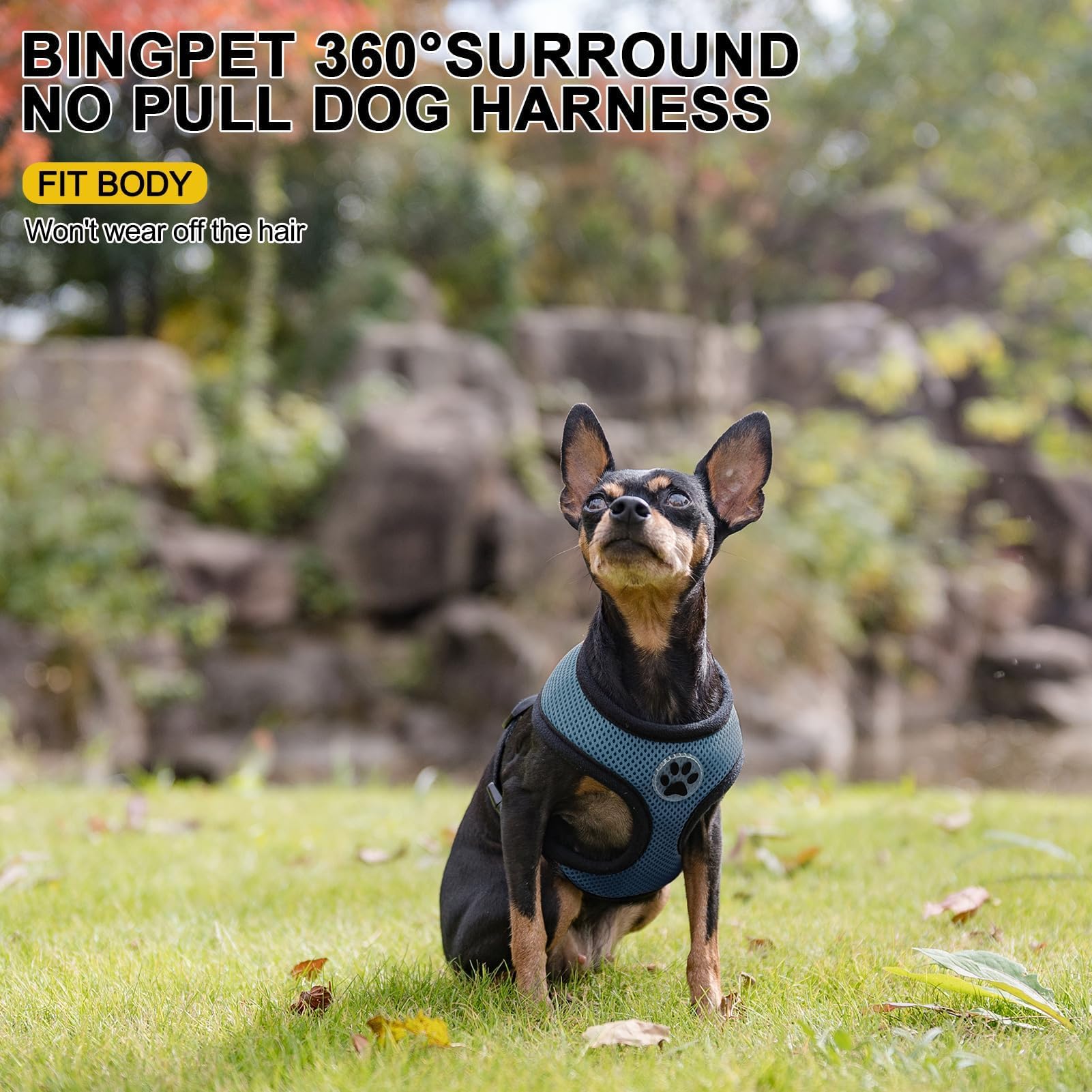 BINGPET Small Dog Harness - Breathable Mesh No-Pull Adjustable Vest for Puppies & Medium Dogs | Perfect for Walking, Training & Outdoor Adventures